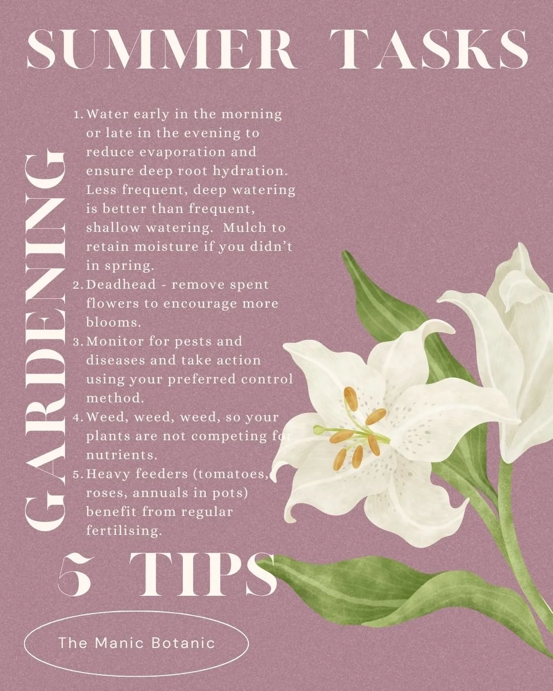 Summer Tasks 5 Tips tips watering early or late, removing dead flowers, deadheading monitoring pests, controlling weeds, and fertilizing with heavy feeders what to do how to knowledge garden gardening priorities beginner gardener help.