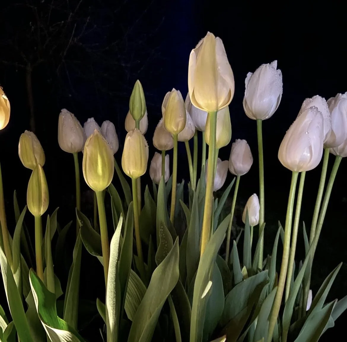 What on earth am I doing here?