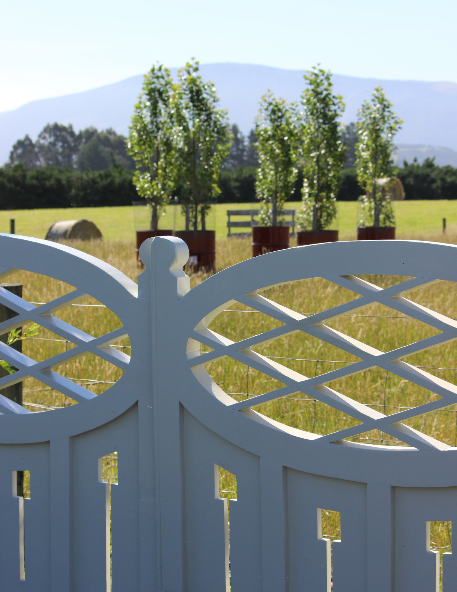 Supergran’s Gates: A Twelve-Year Epic