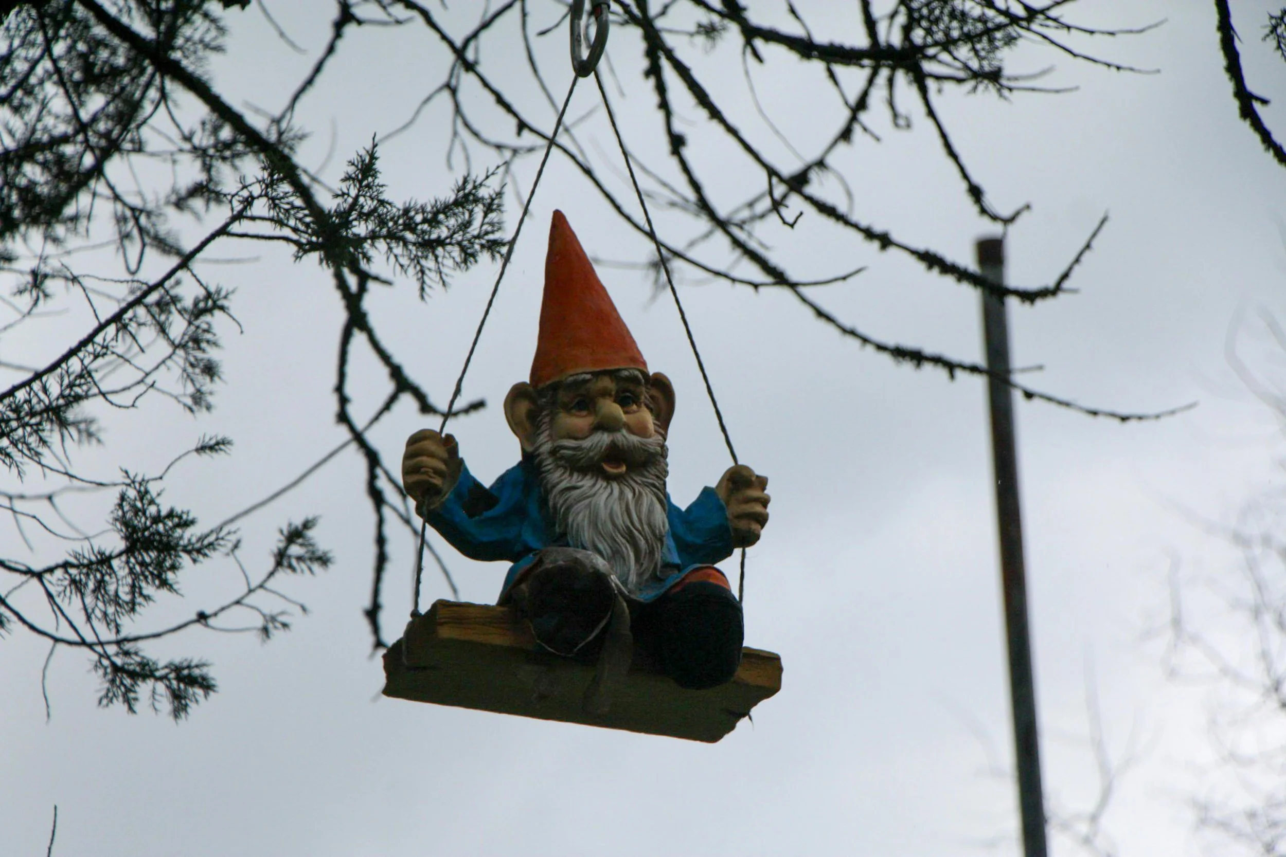 To gnome or not to gnome