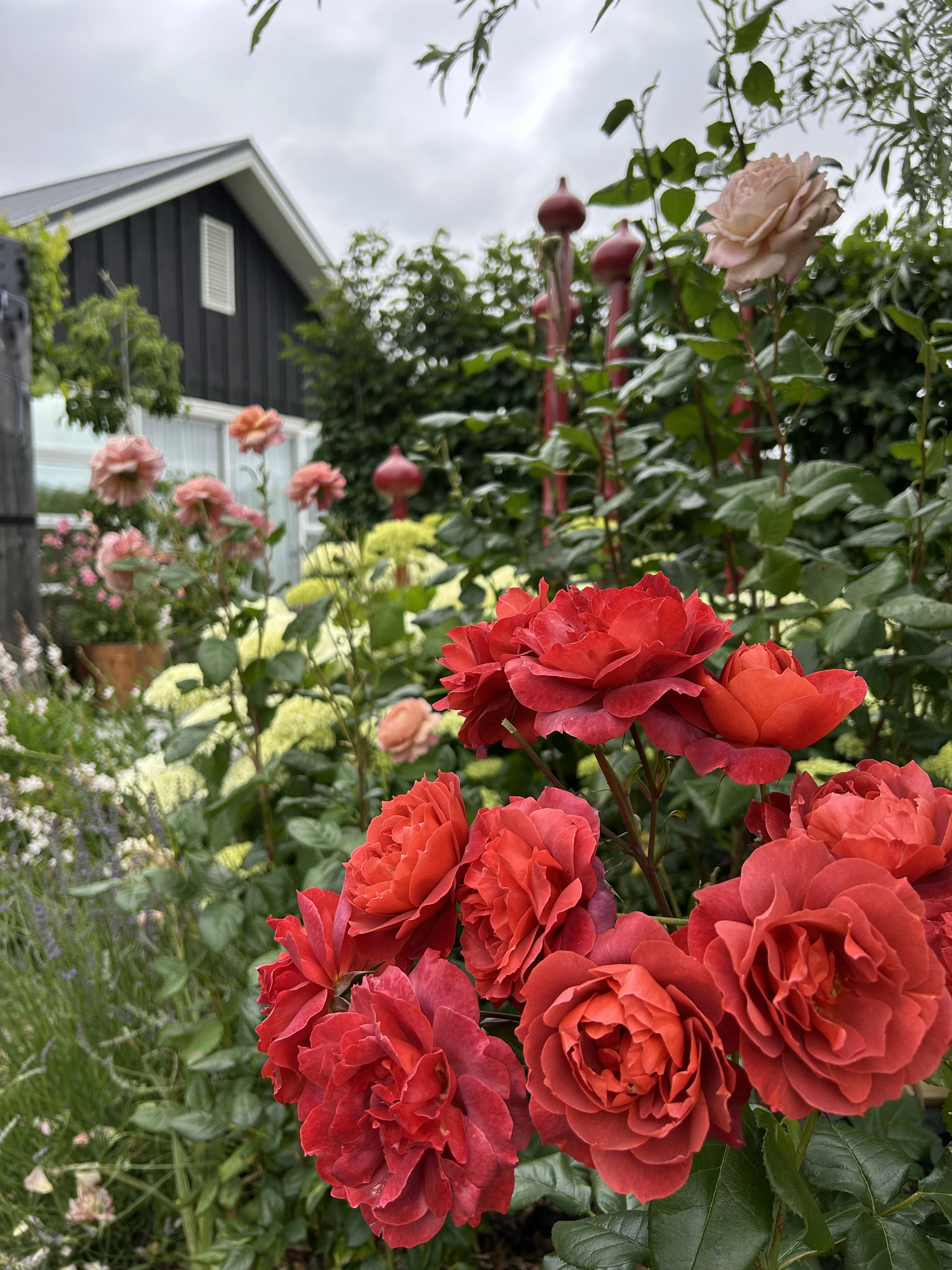 In defense of blood sports