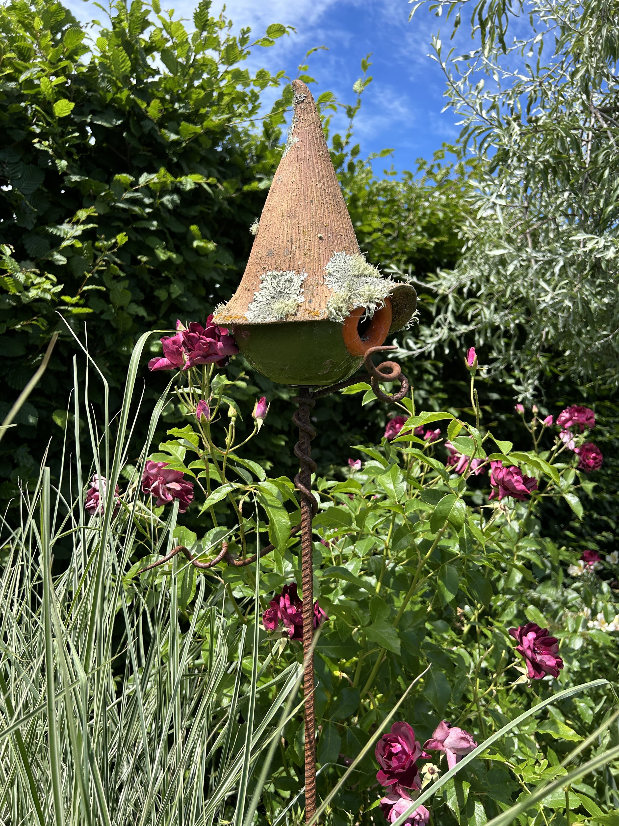 favourite photo4.JPG