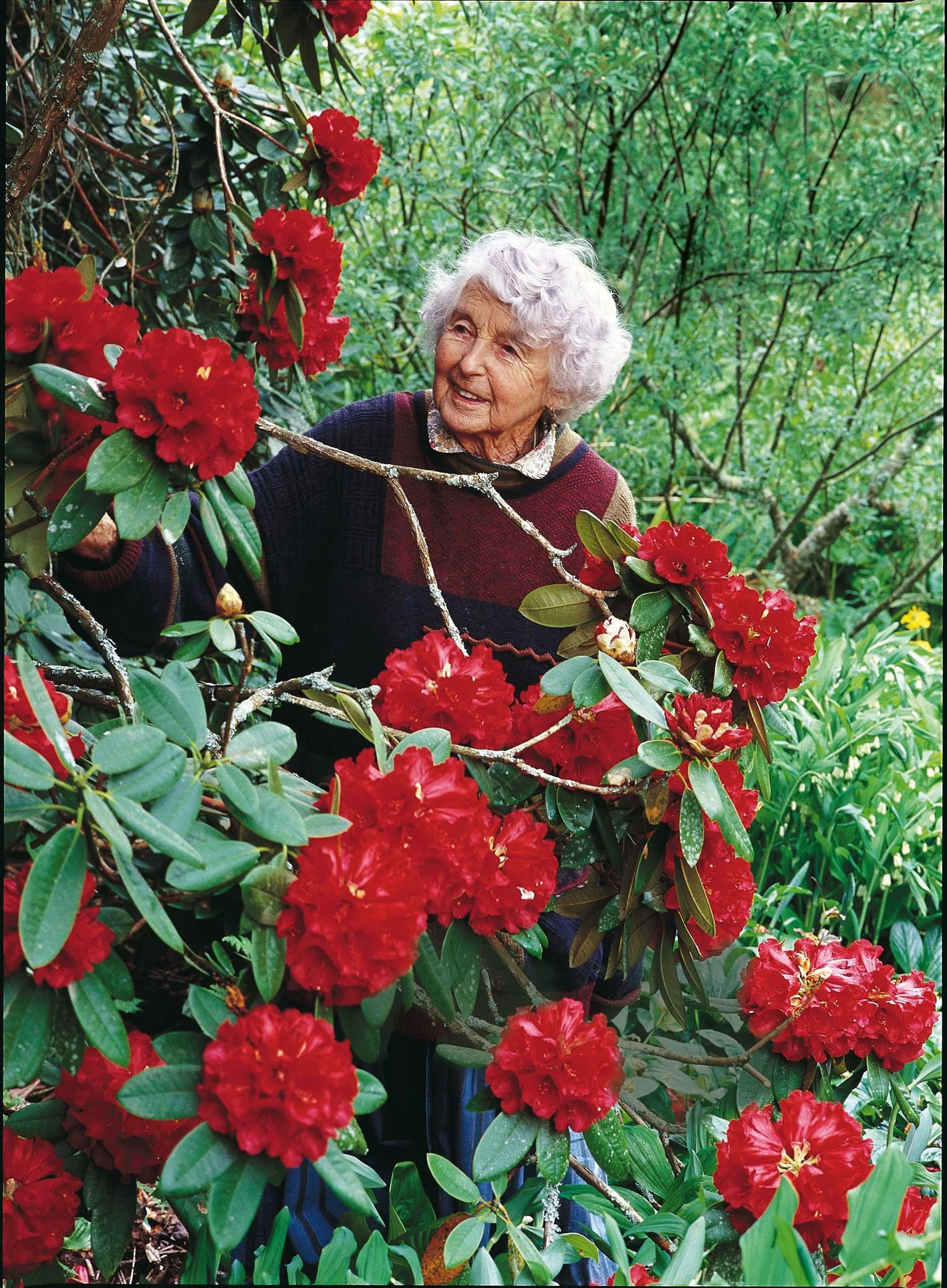 Gwyn Gardener mag photo.jpg