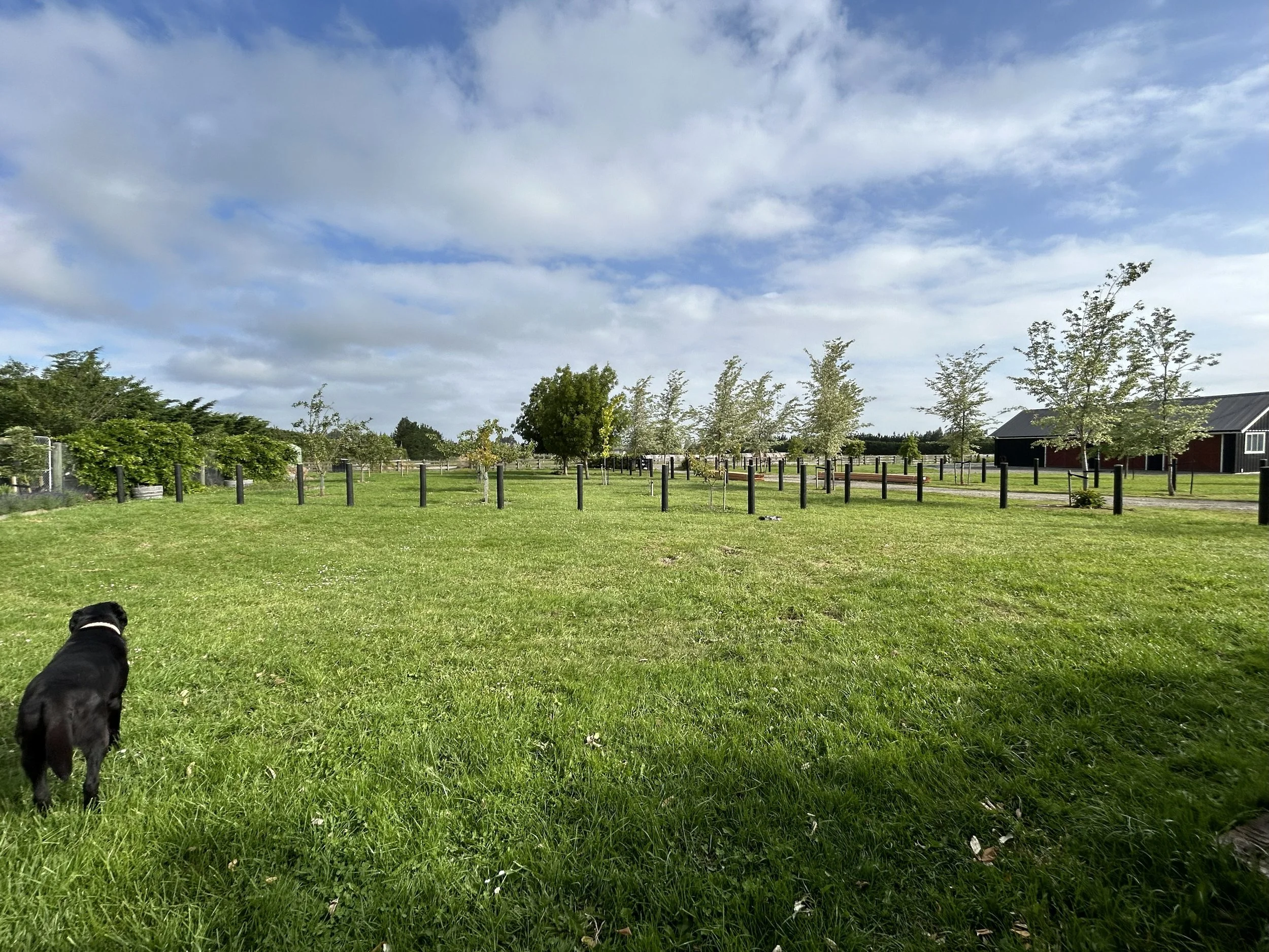 orchard garden 16.jpeg