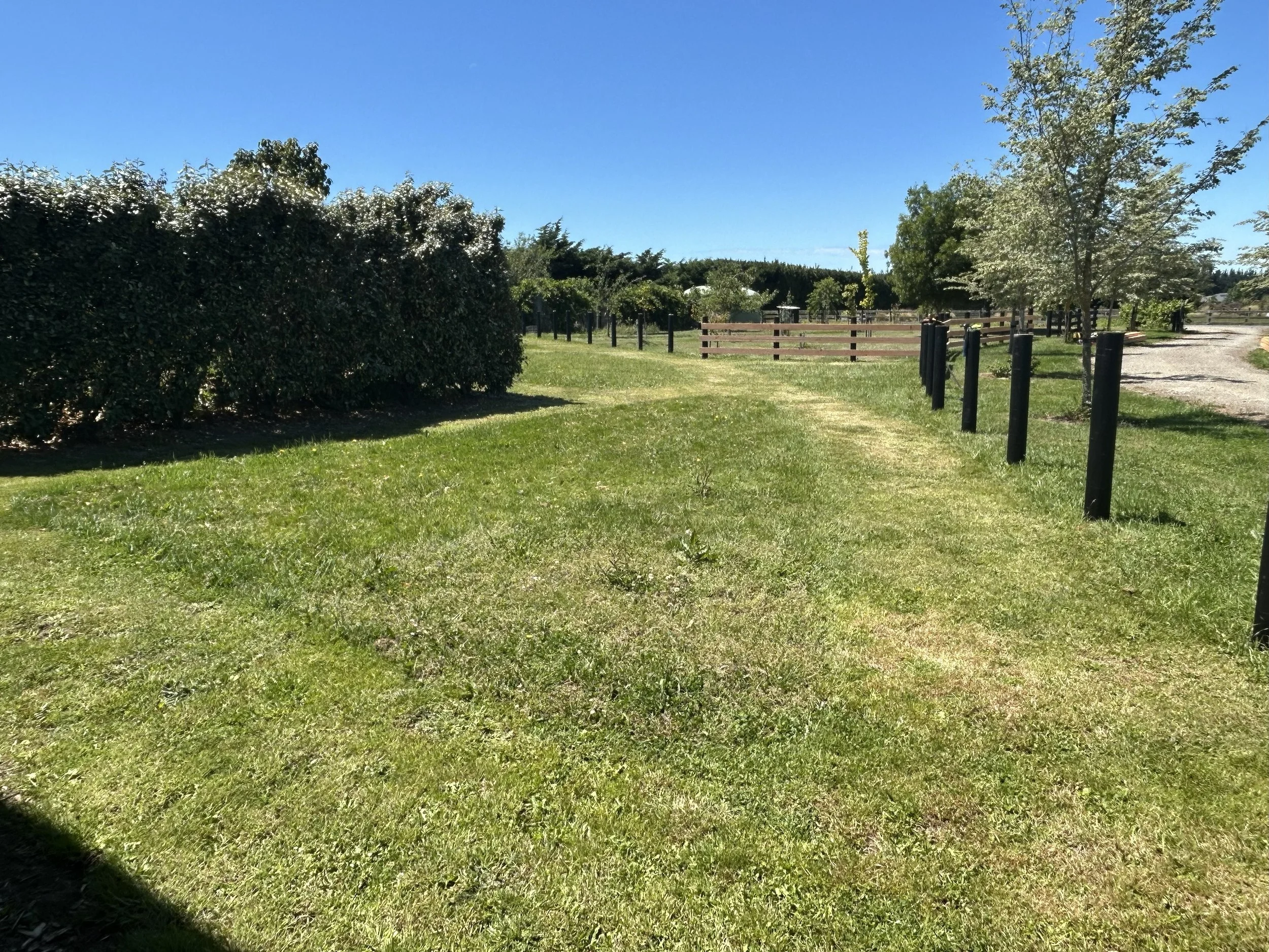 orchard garden 15.jpeg