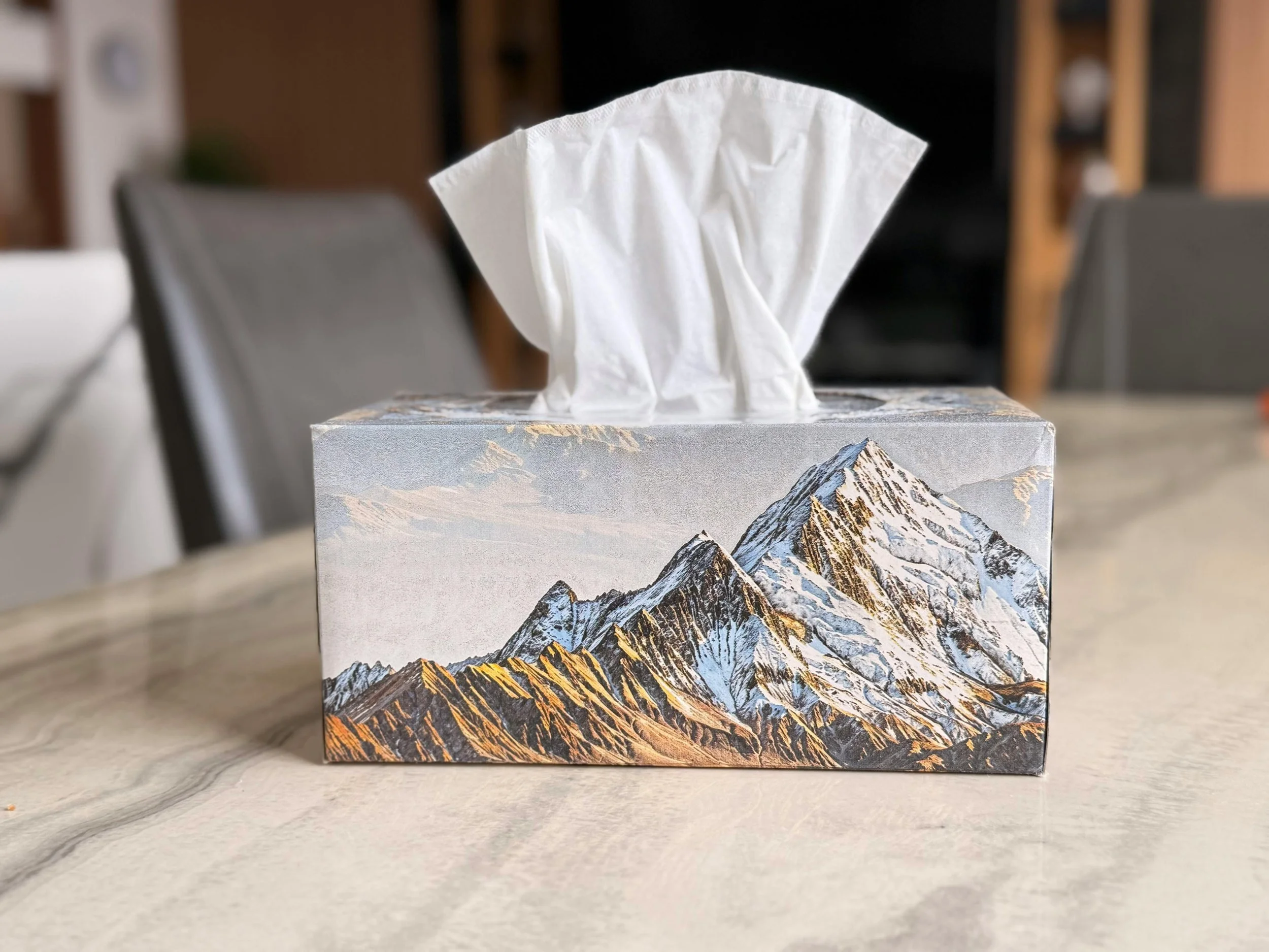 tissue box.jpg