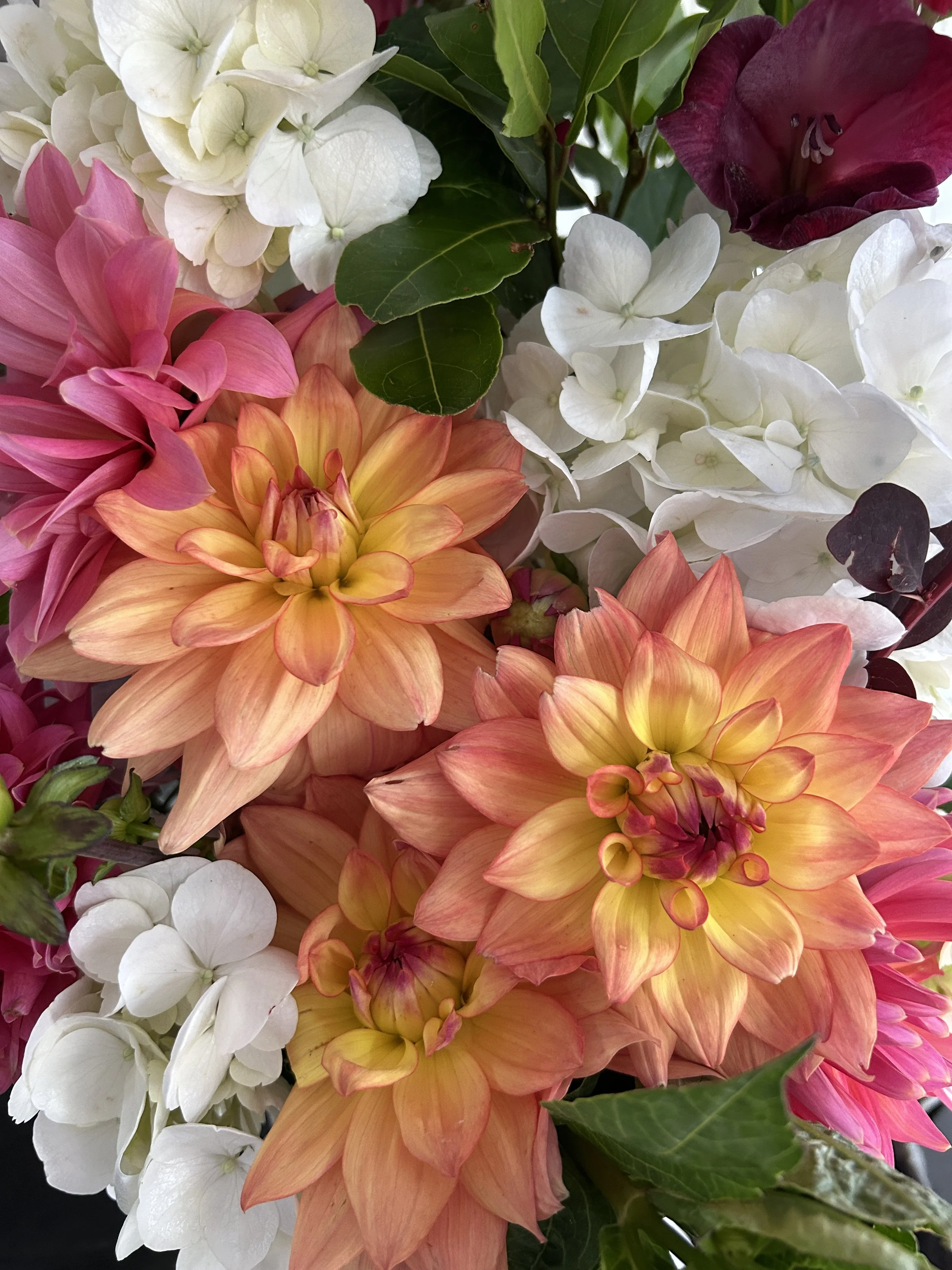 Dahlias in the vase.JPG