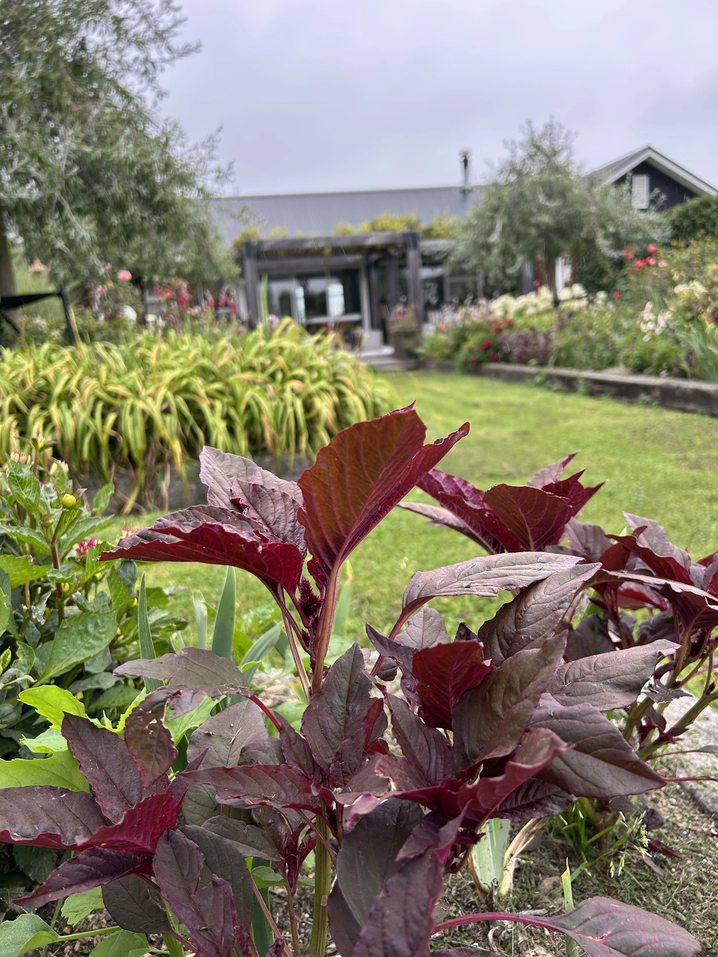 Colour contrast2.JPG