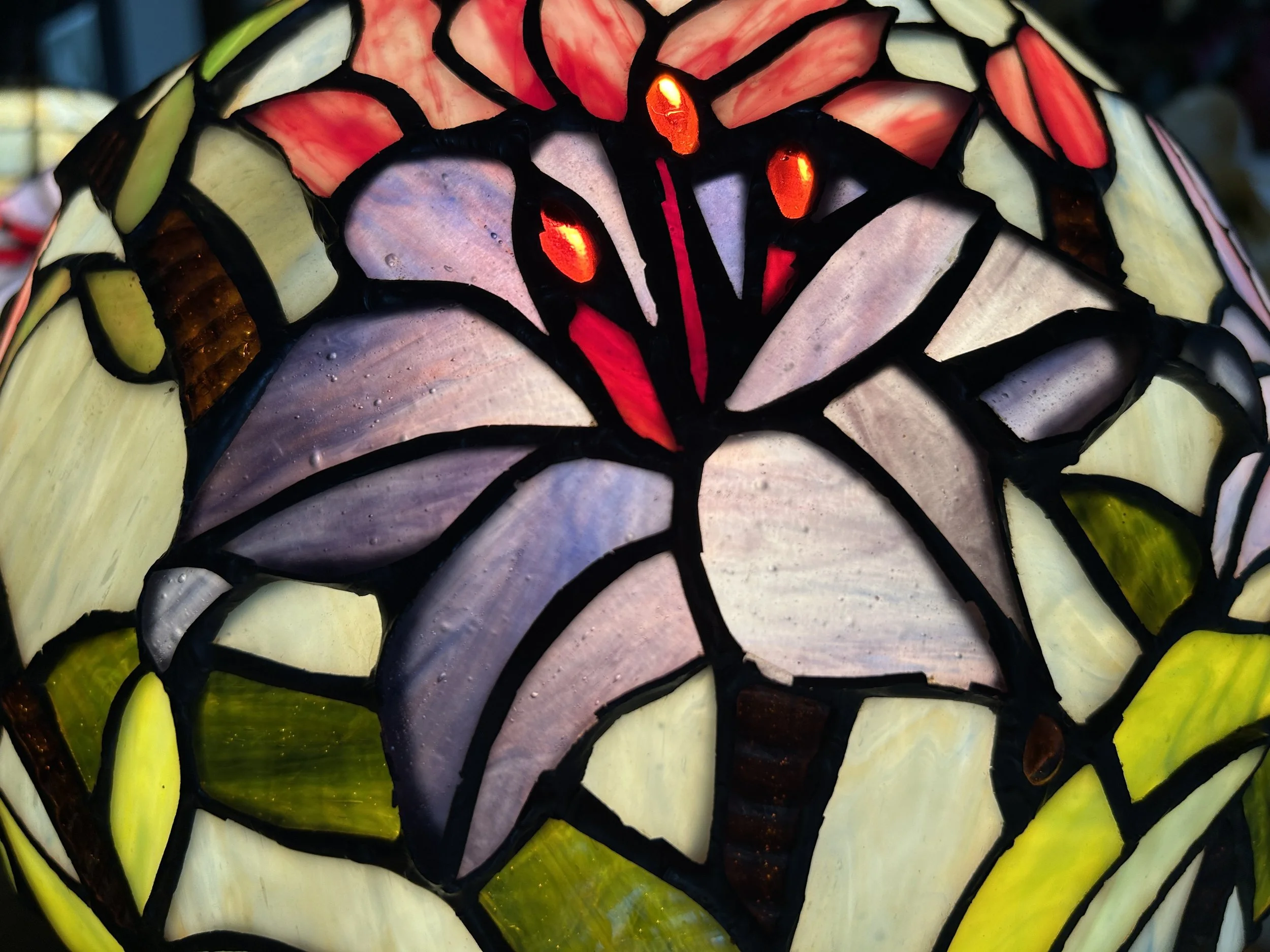 My impeccable lack of shame