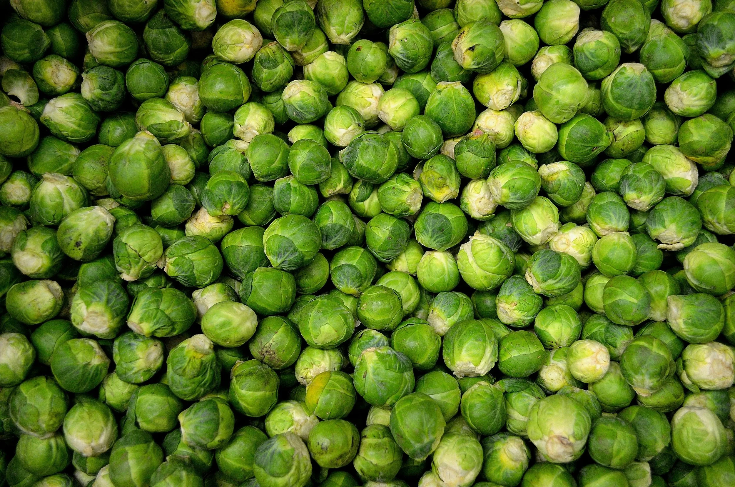 brussels sprouts.jpg