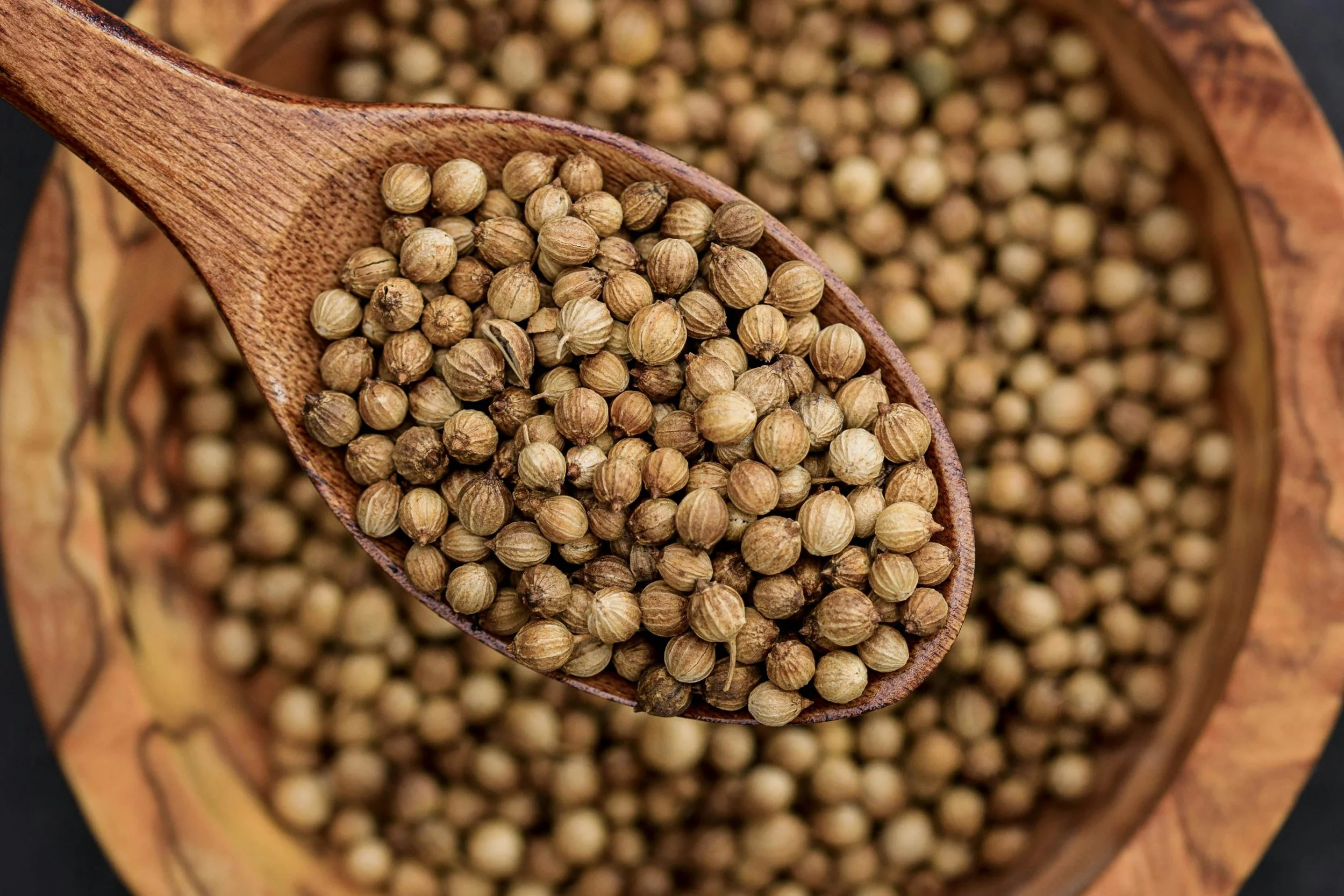 coriander.jpg