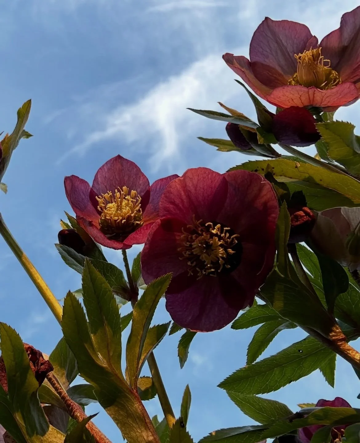 nret.jpg