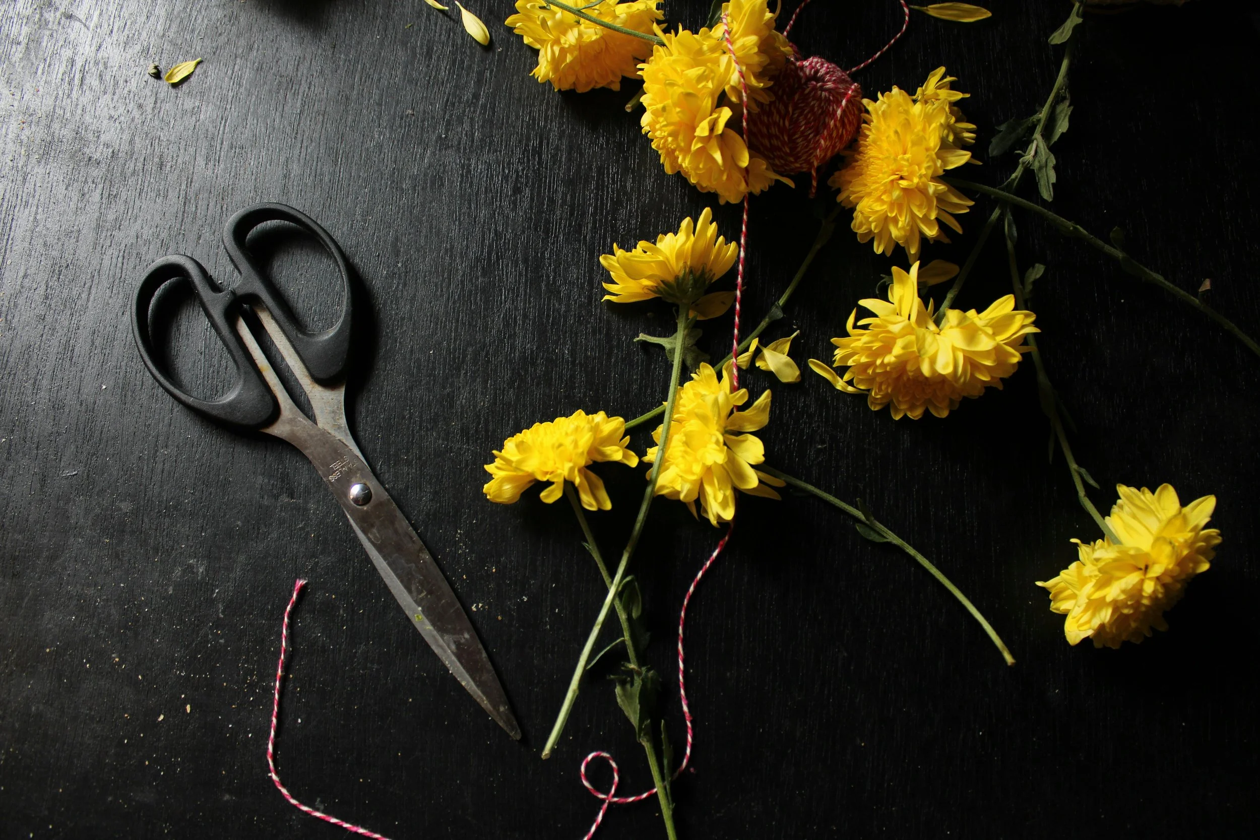 scissors2.jpg