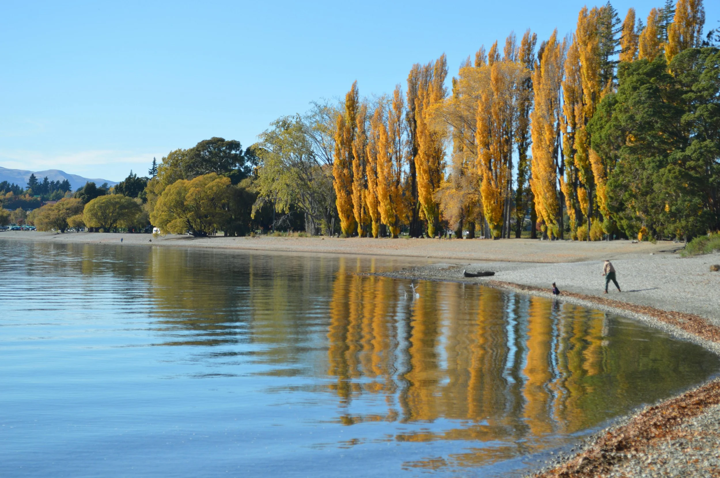 wanaka5.jpg