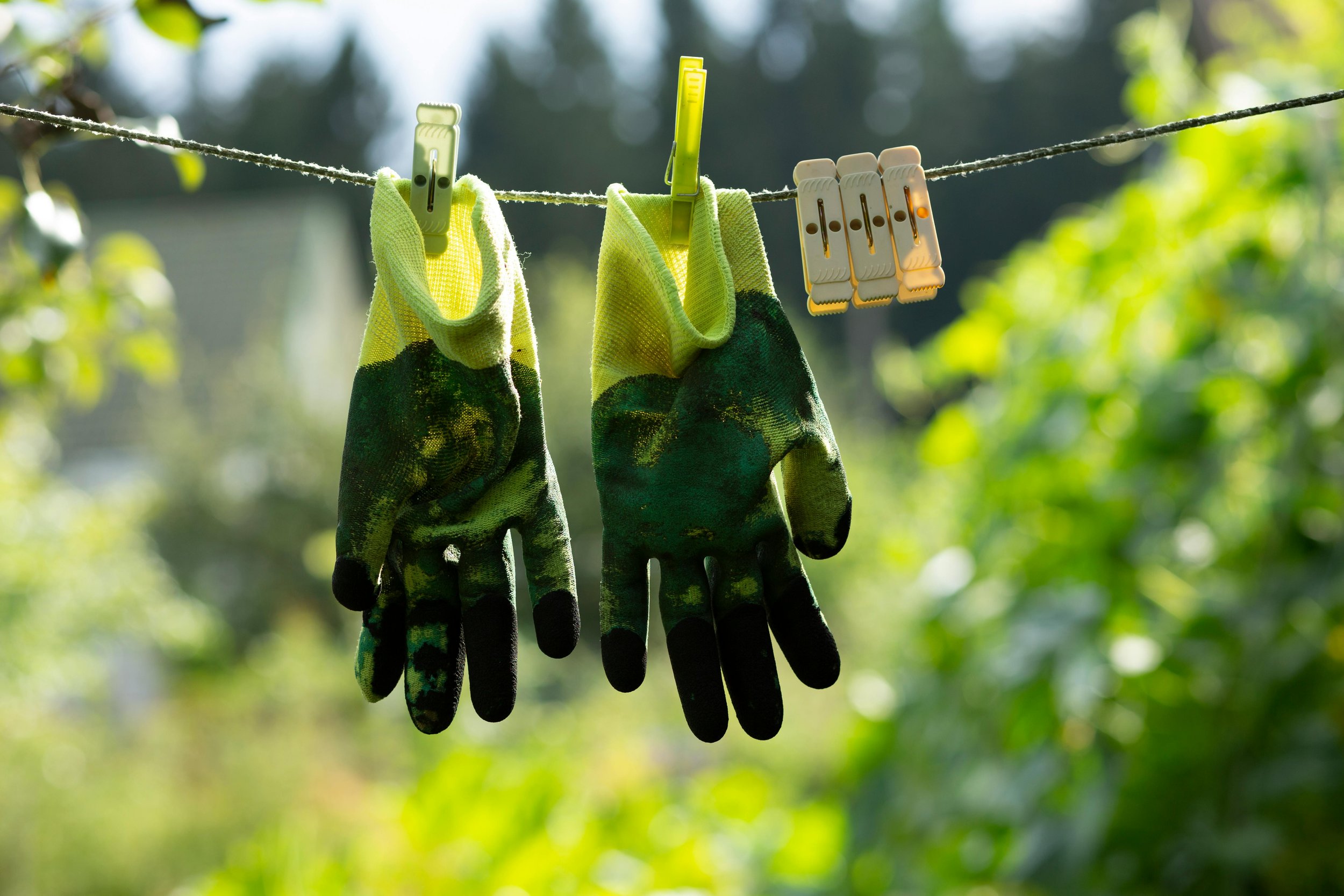 garden gloves.jpg