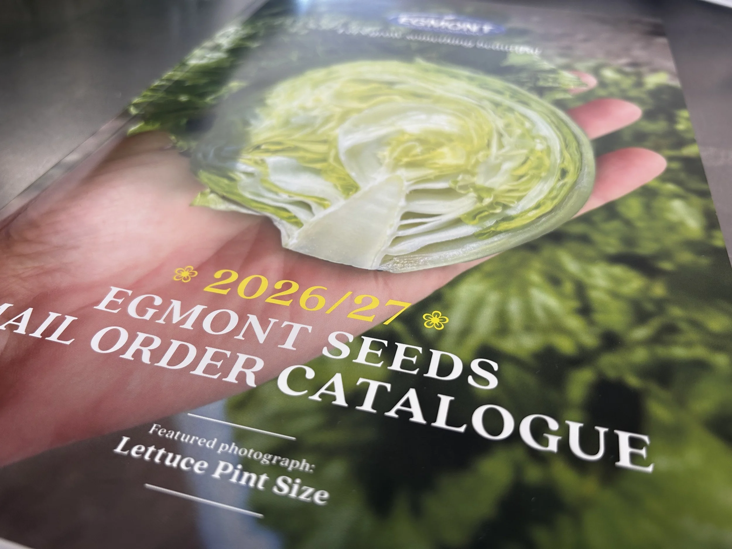 Egmont seeds.JPG
