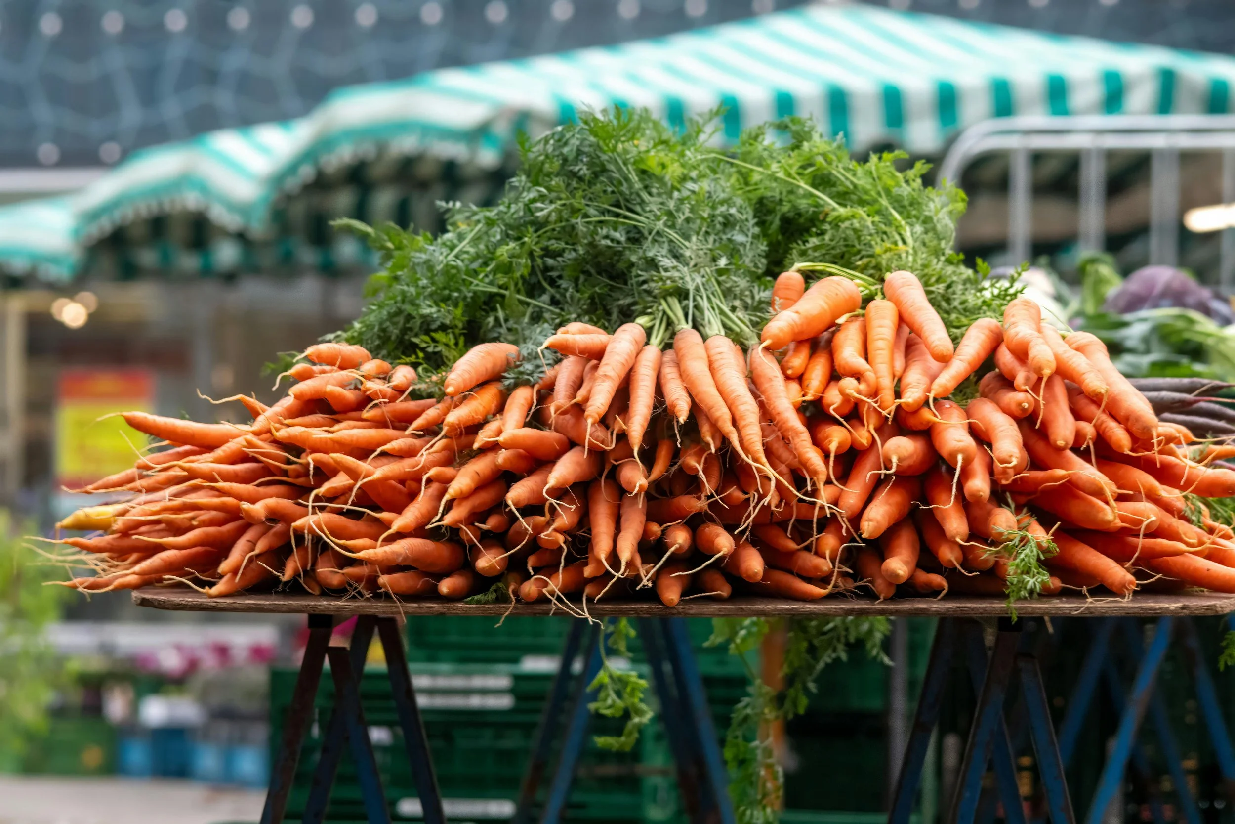 carrots.jpg