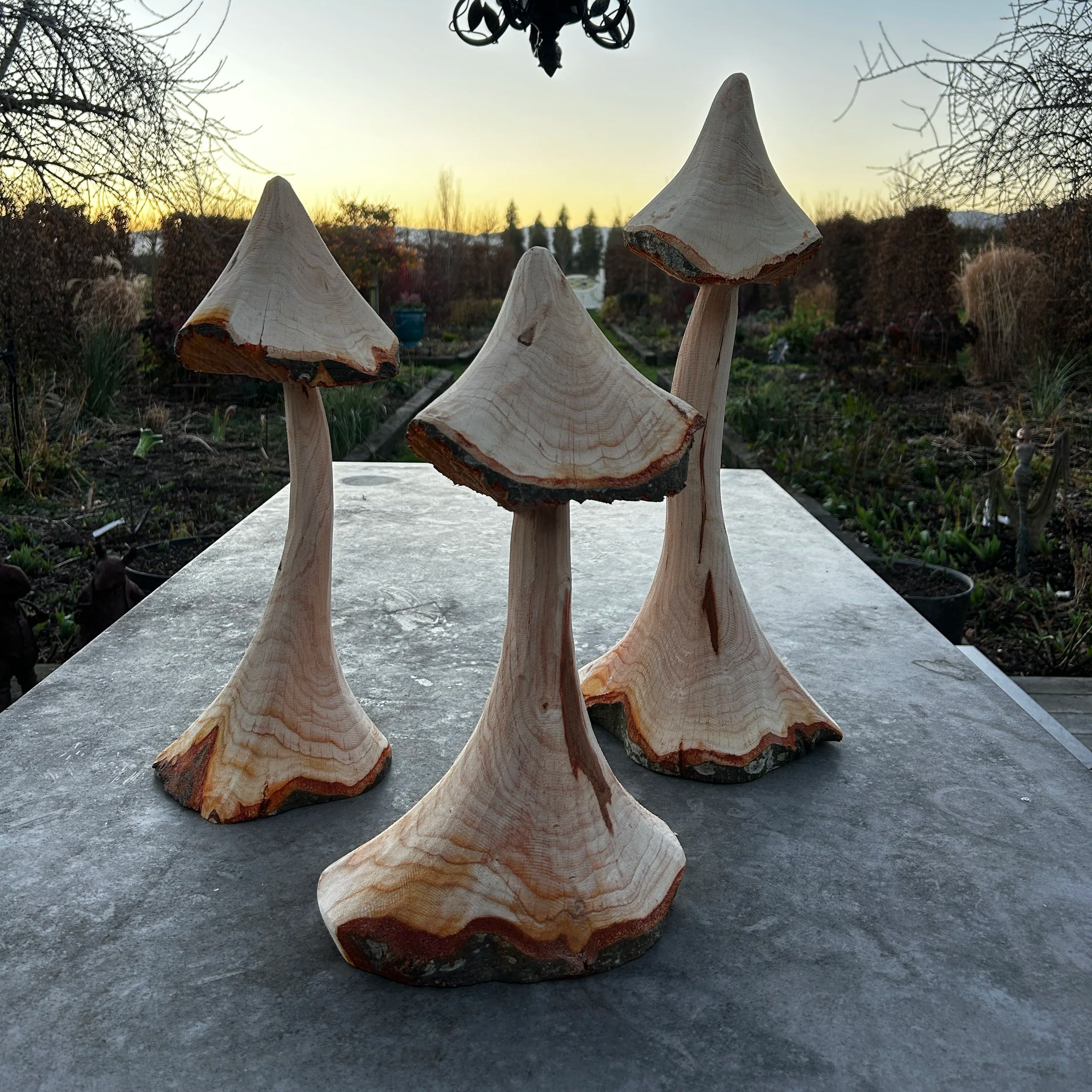 toadstools.png