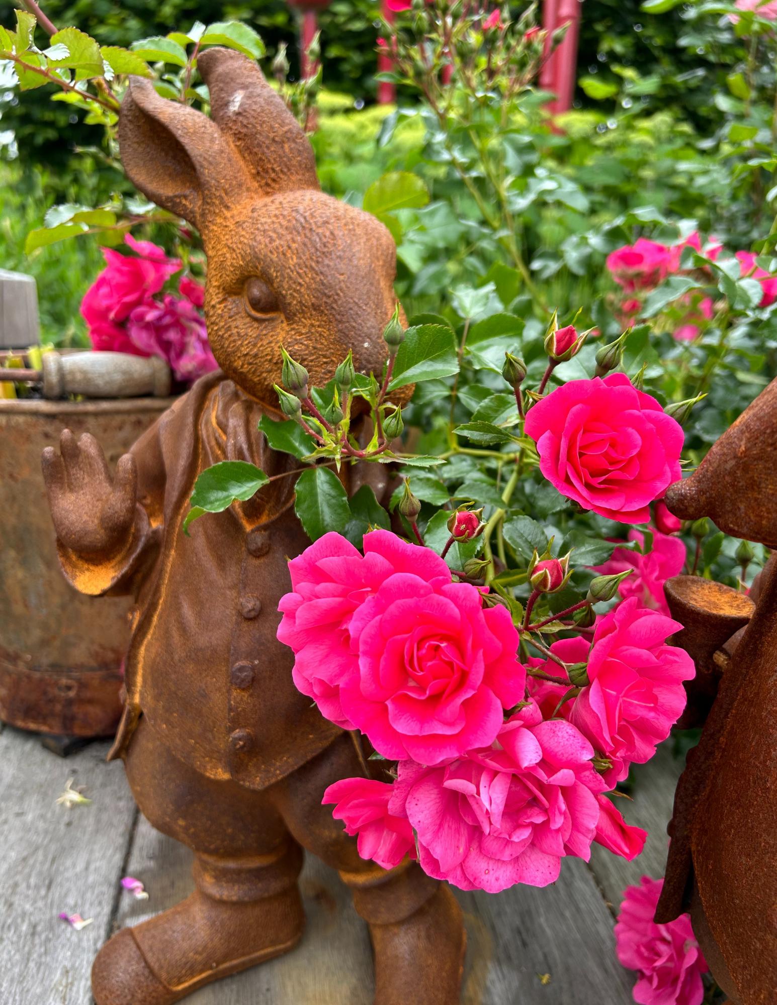 Garden sculpture, garden art, rabbit, wind in the willows, Mad Hatter, Alice in Wonderland, garden whimsy, pink rose, roses, perennial, shrub.