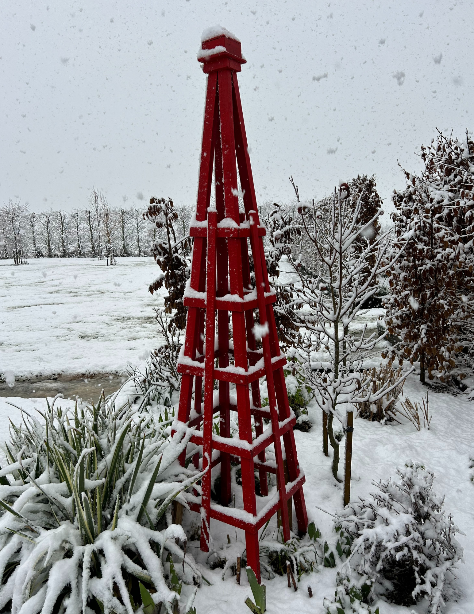 A snowy August in 2024 creating magical winter scenes in my garden, punctuated beautifully with the red of the obelisk.