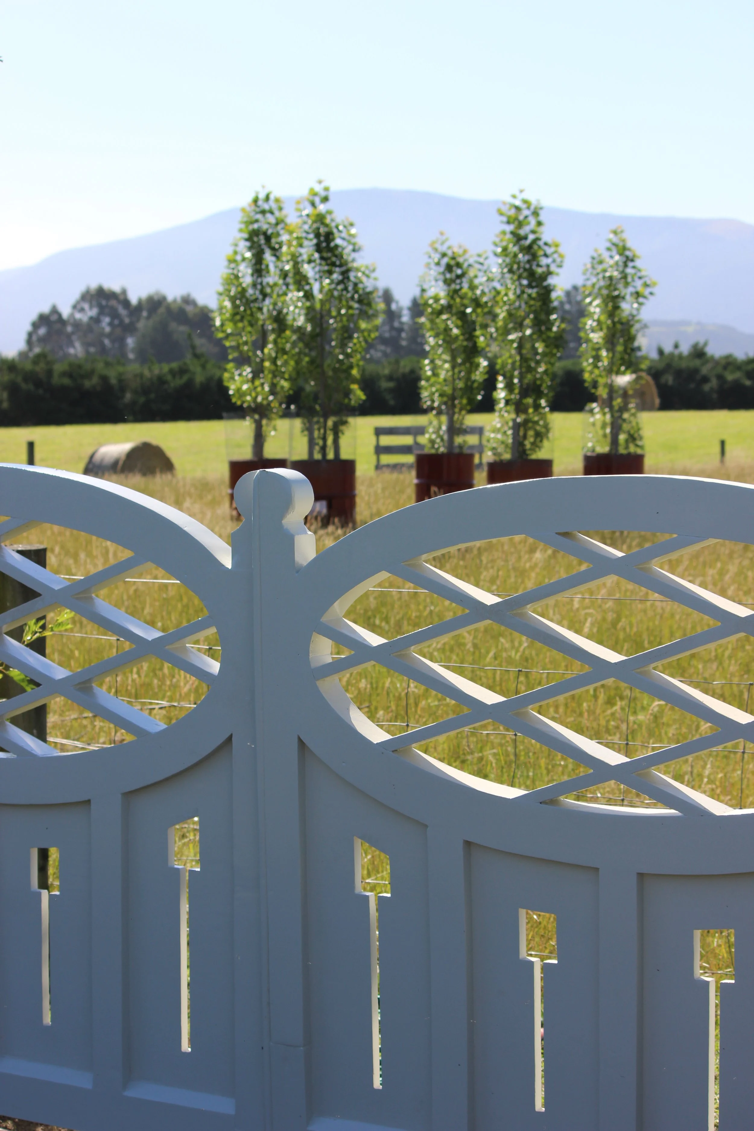 My grandmother's gates - now adorning my garden 'vista'.