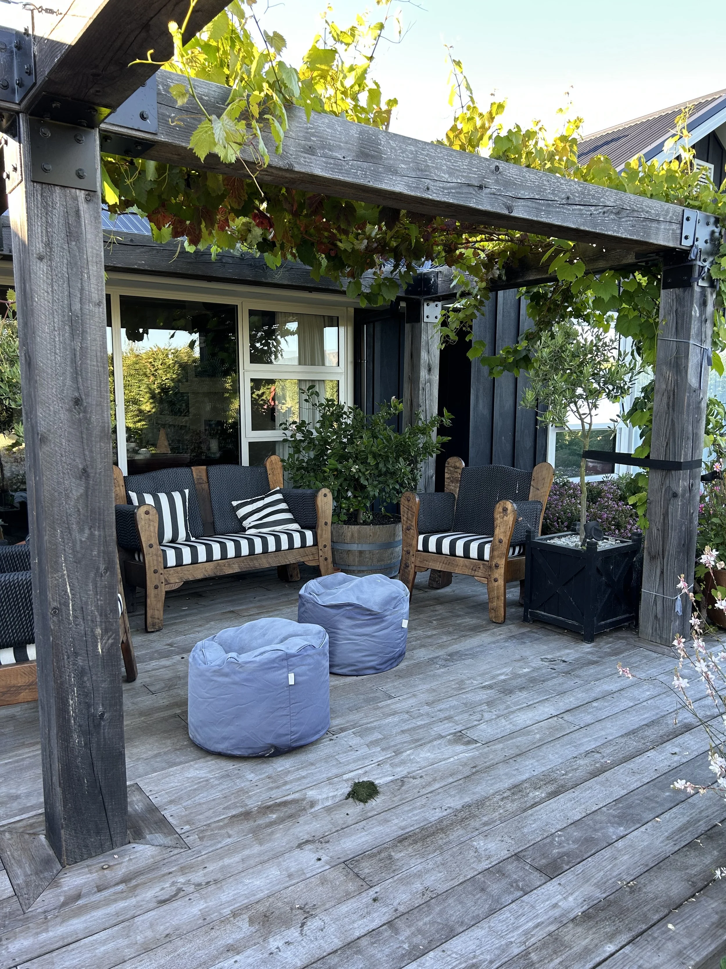 Deck living.  Ornamental grapevine over the pergola.  
