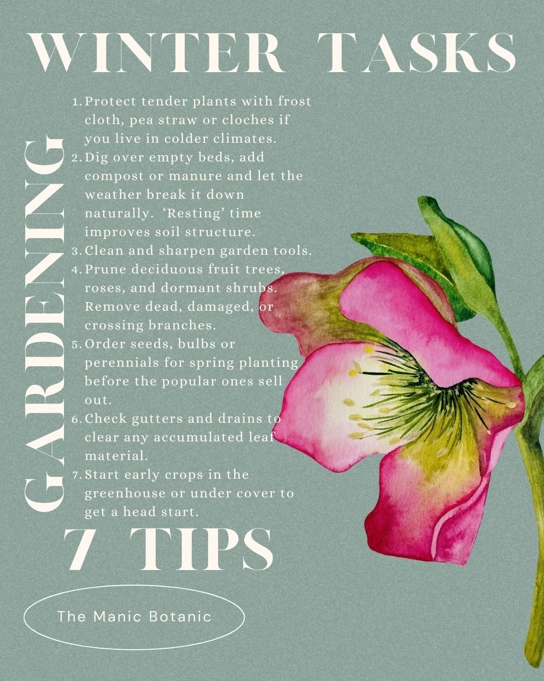Winter Tasks gardening tips how to what to do priorities knowledge beginner gardener garden frost tender hardy water tools pots spray disinfect tidy clean rest