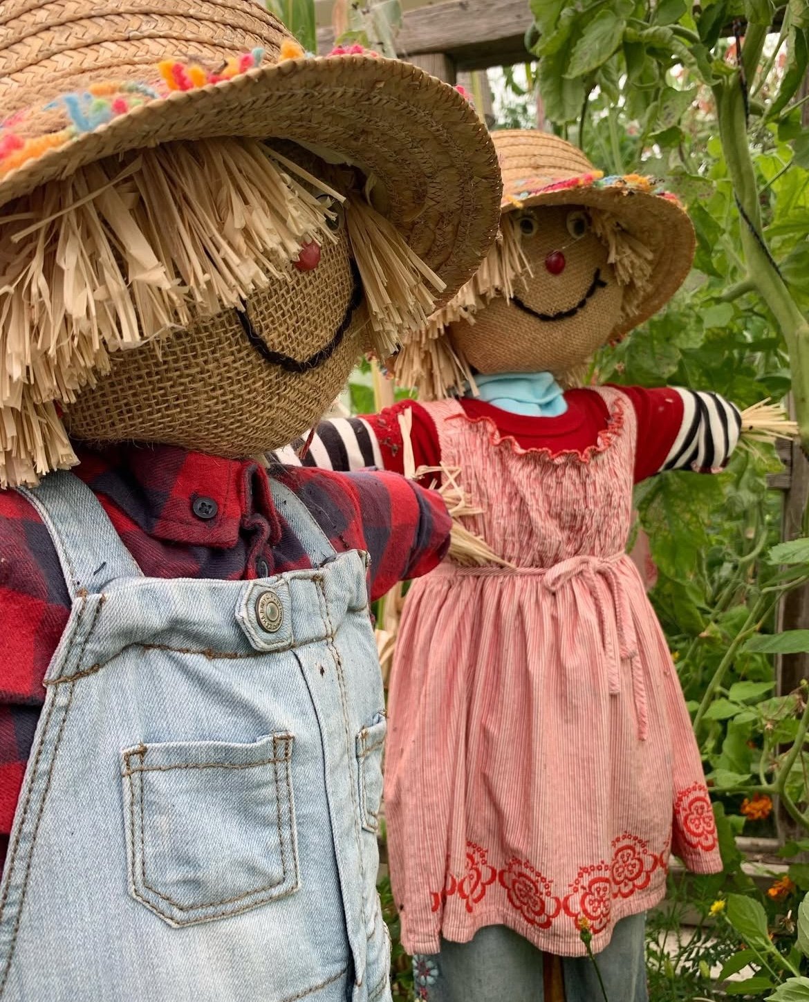Jebediah and Clementine, the two resident scarecrows in the greenhouse.  Maybe that's why there's never any pests on my veges!