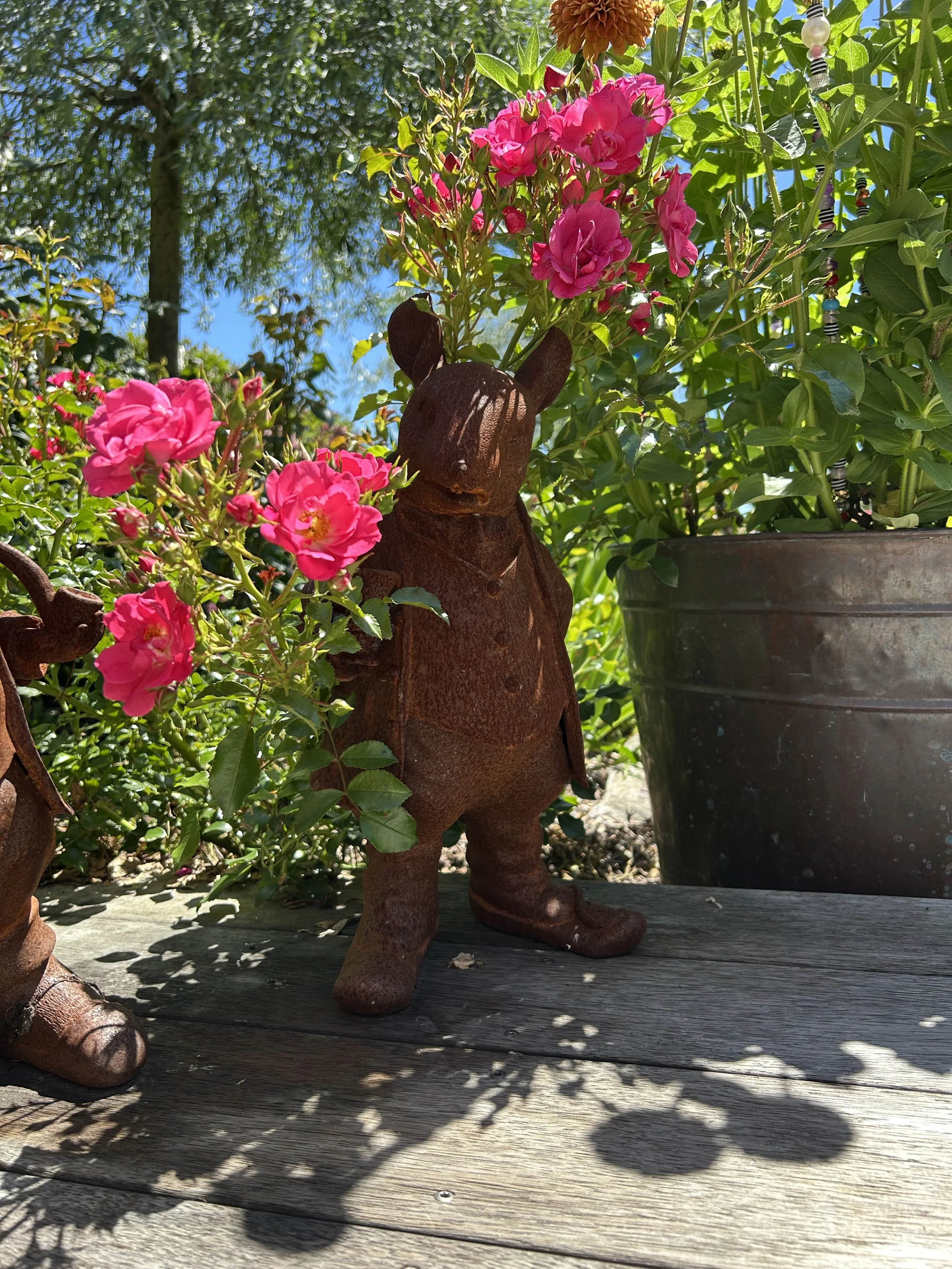 Mr Rat in the summer shade.  