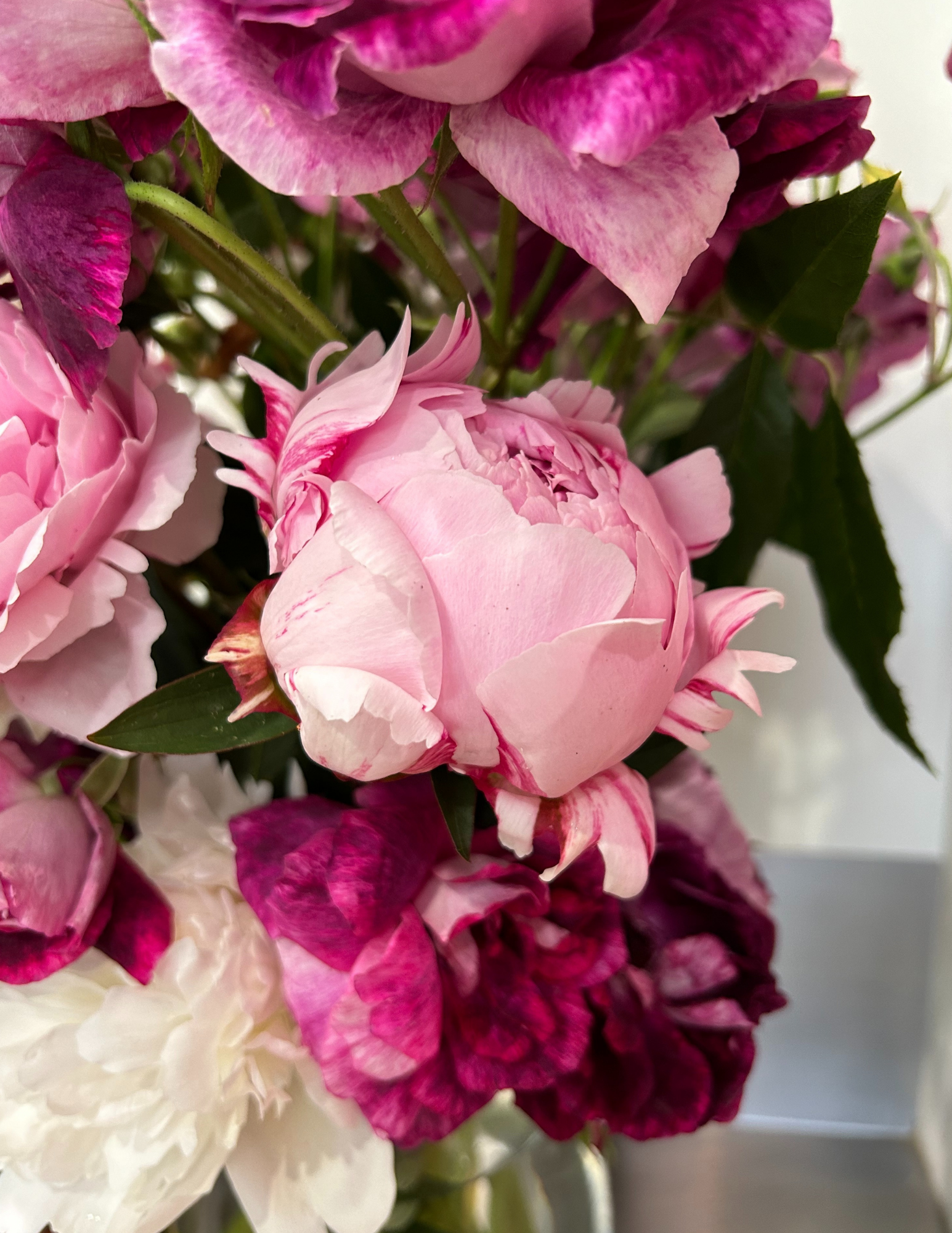 Sarah Bernhardt peony with burgundy Iceberg roses.  