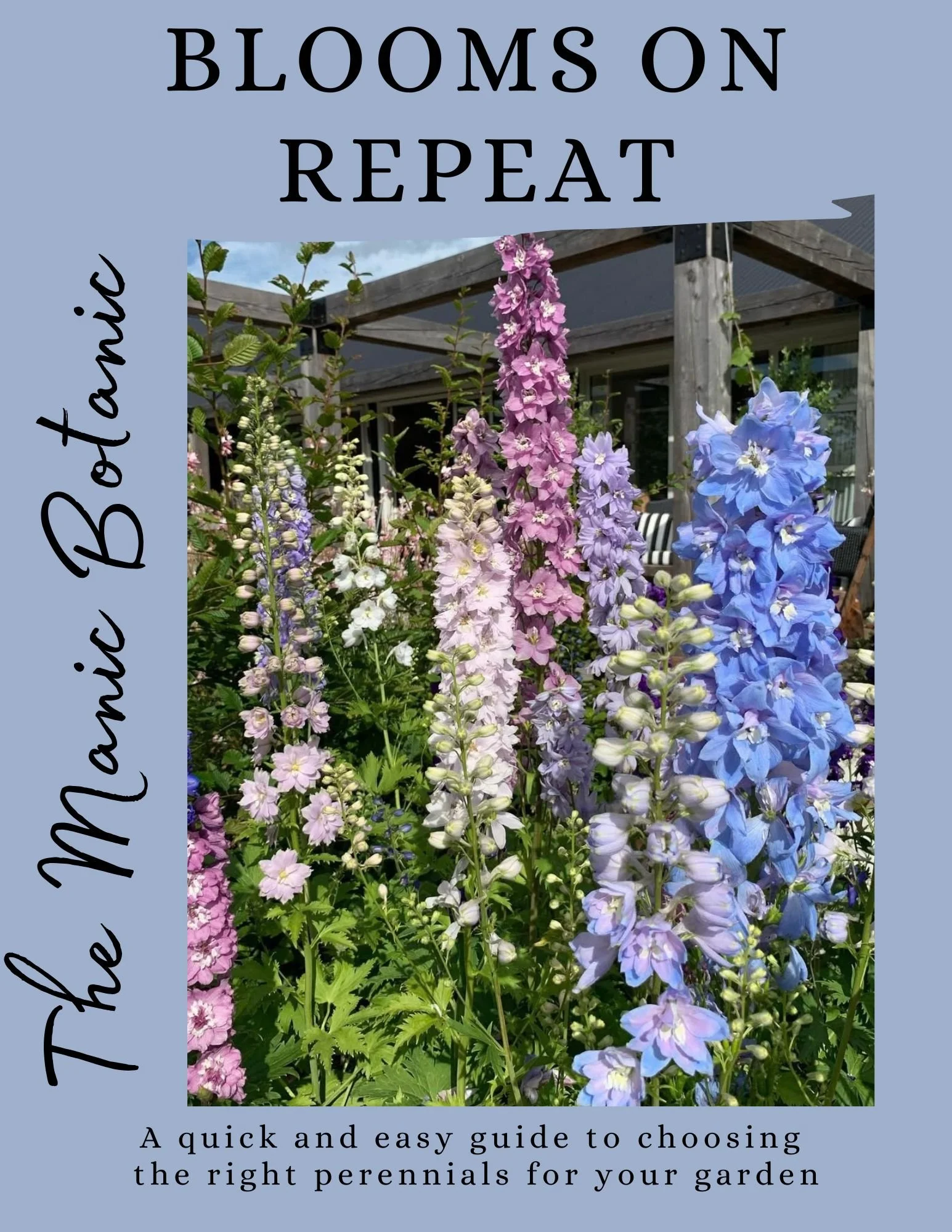 A garden with colorful blooming perennial flowers in pink, purple, and blue in front of a wooden pergola and outdoor seating.