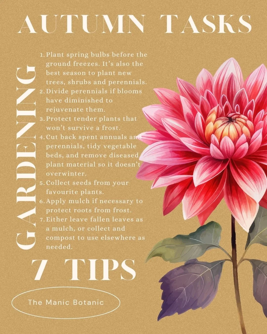 A fall-themed gardening tips list of seven autumn gardening tips tasks pruning prune mulch dead head fallen leaves leaf compost tidy up garden beginner knowledge how to what to do