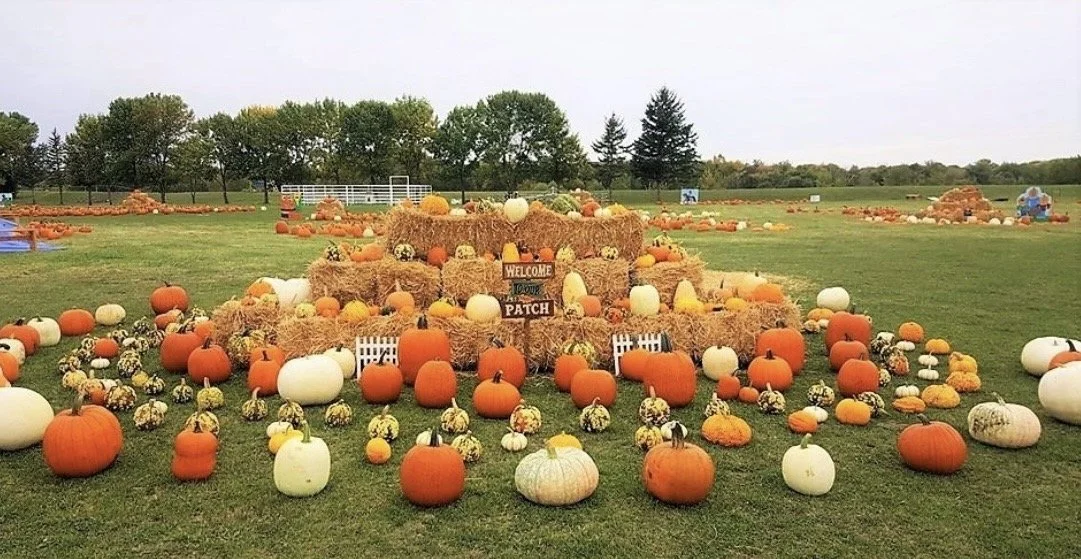 Patch on the Point Pumpkin Patch