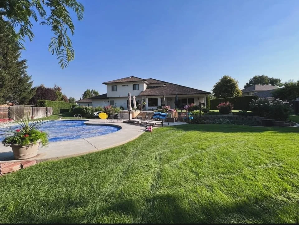 Backyard with a swimming pool, lounge chairs, umbrellas, and lush green lawn surrounded by trees and houses on a sunny day.