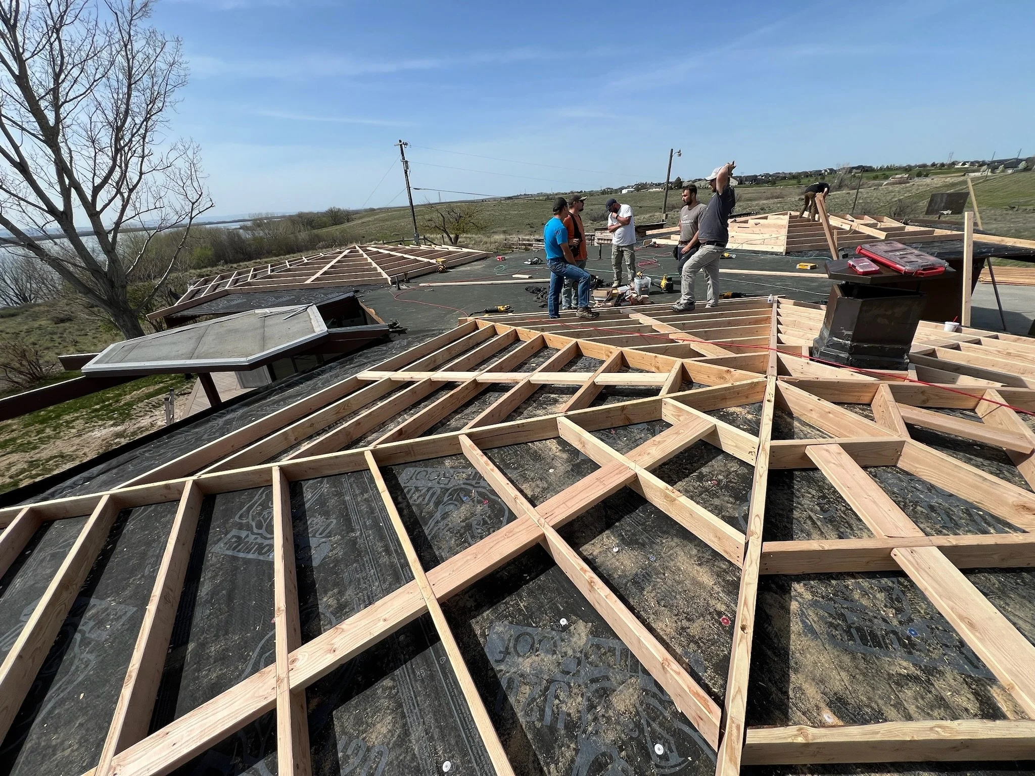 Team of experts on a build