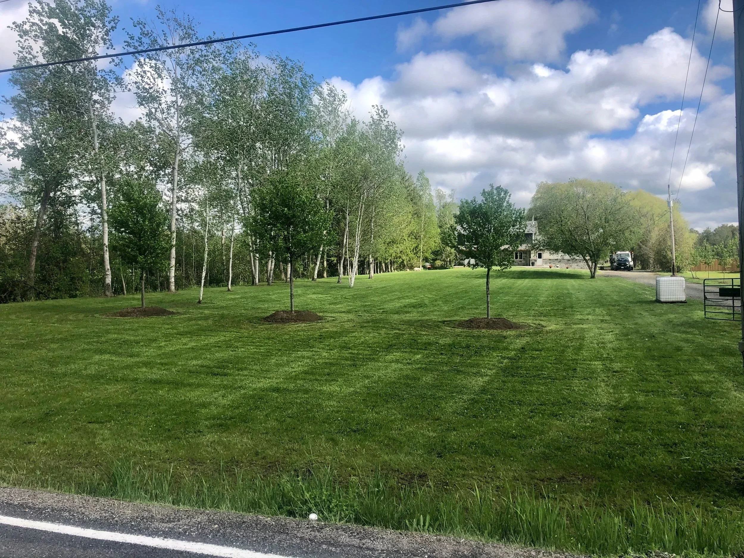 Lot clearing services GTA
Excavation contractor Georgina
Land clearing Ontario
Foundation excavation services
Site grading contractor near me
Residential excavation GTA CD Contracting Excavation
Water Proofing , property cleanup  Sod  Queensville Sod