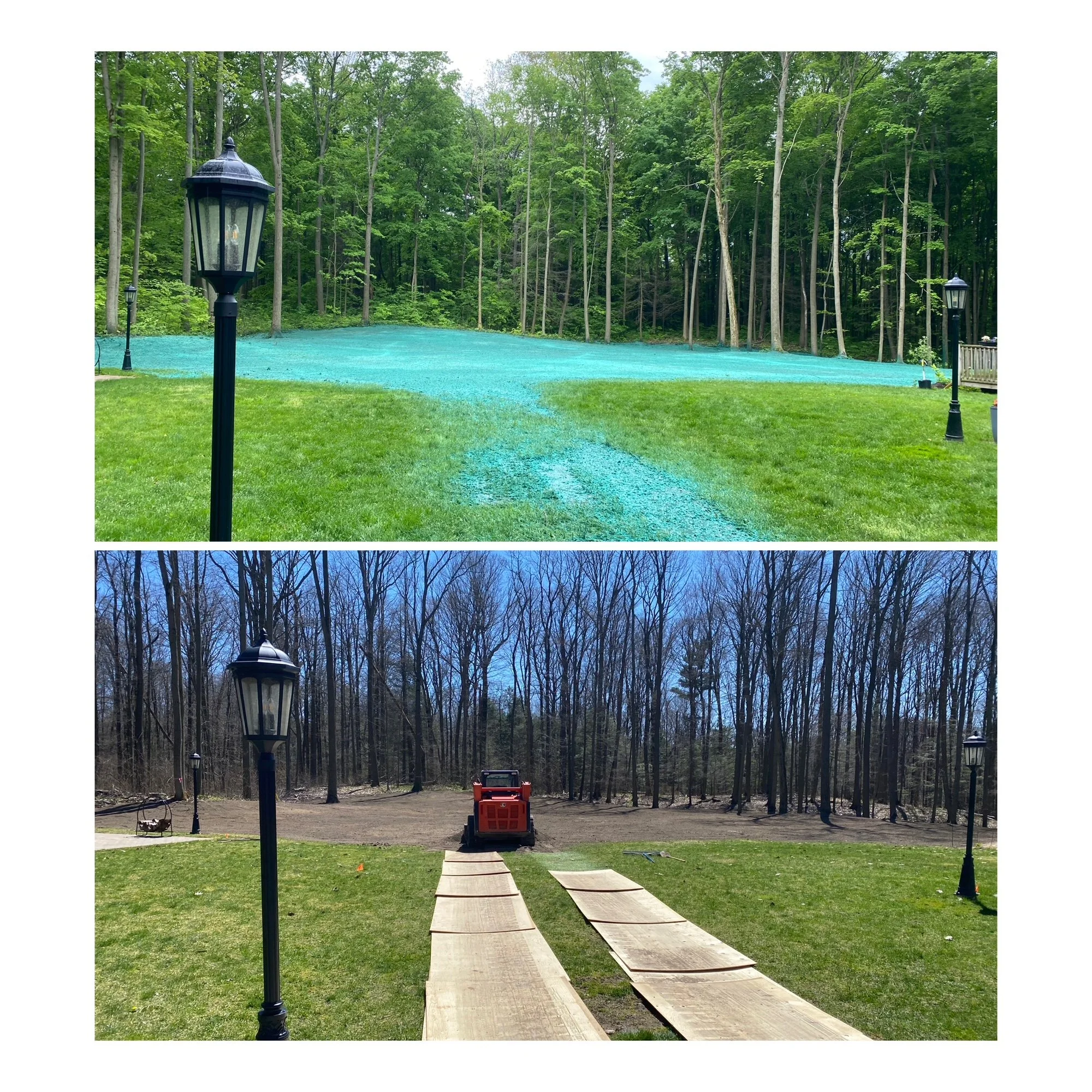 hydro seed collage.png