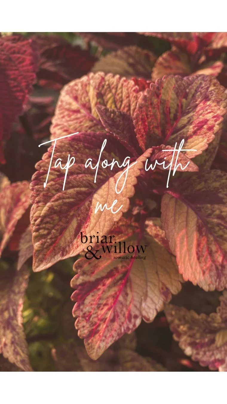 Join me in this 6 minute tapping session where we release feelings of uncertainty. Building trust in our life’s path laid before us and divine guidance on our journey. ✨
I ask you to repeat allowed or in your mind the phrases before you , foll