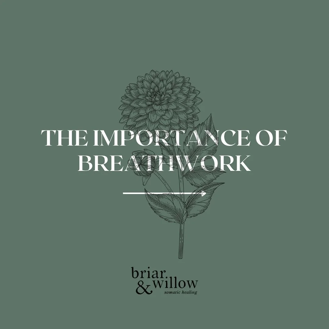 Remember, you always have your breath, and how beautiful that is ✨