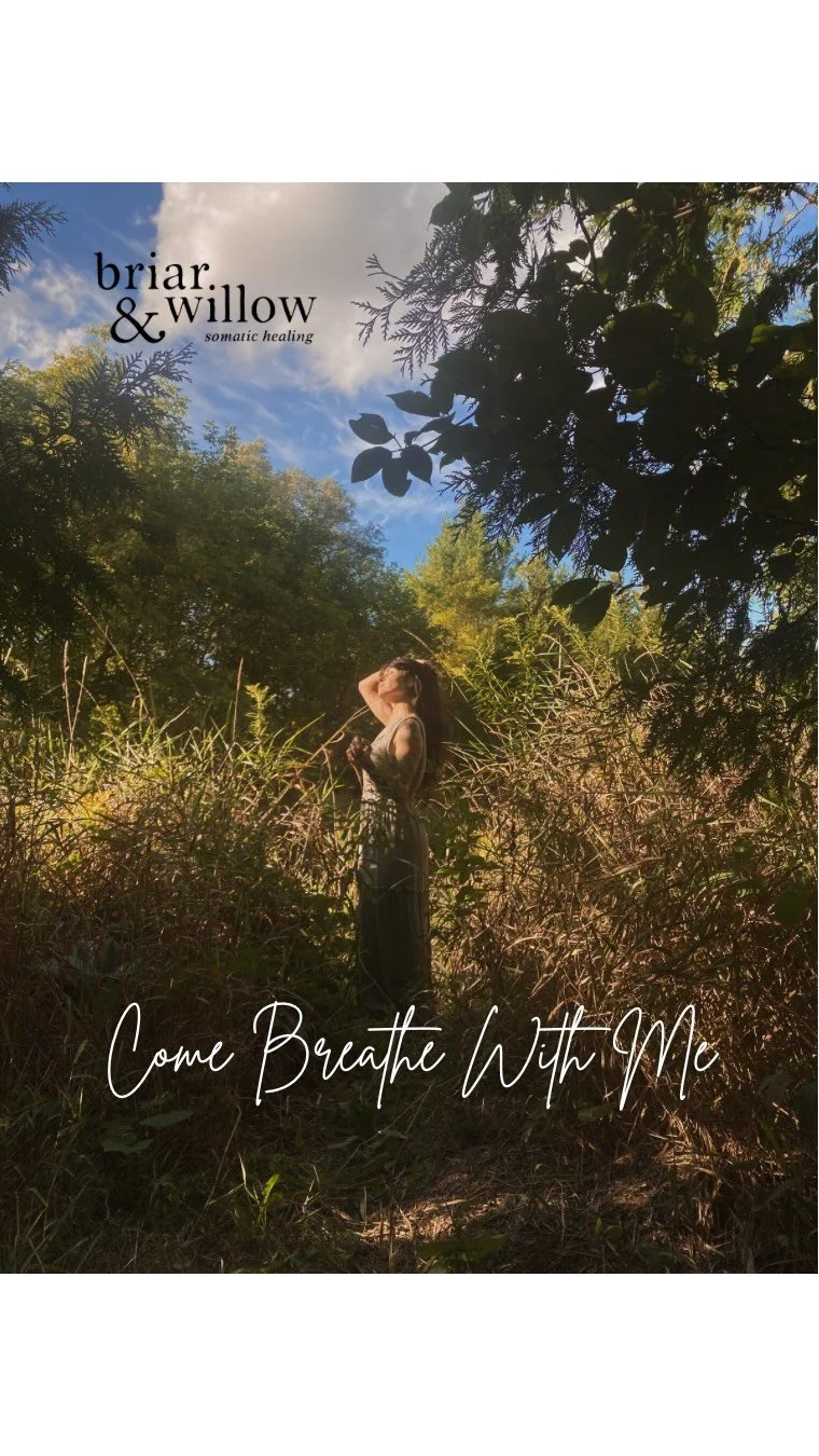 When life feels overwhelming, take a moment to find your breath.
Inhale, as you get to the top, inhale deeper.
Pause
Completely and fully exhale , deeper and longer than your inhales, emptying your lungs.
This method of breathing brings on immed