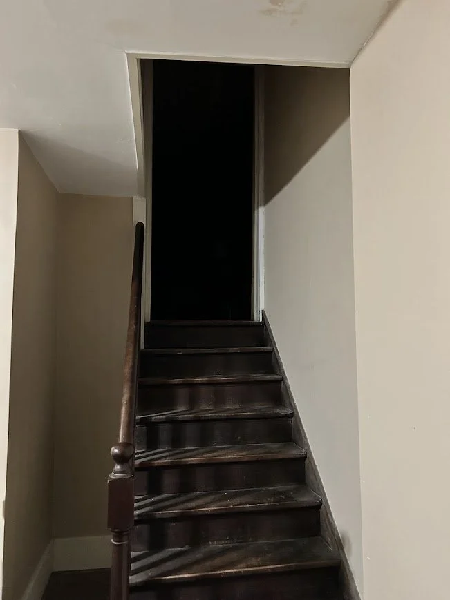 Interior staircase leading to a dark doorway with a handrail on the left side.
