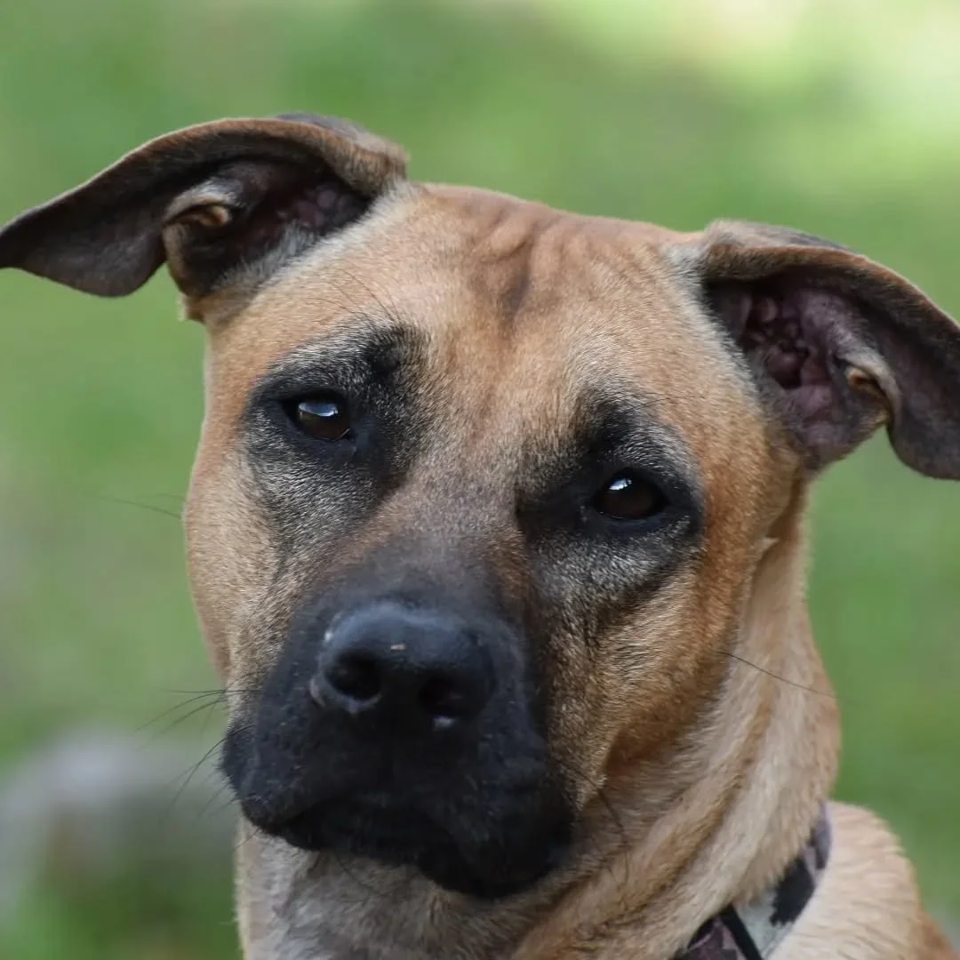 361115610_3457679111161105_3754935887409923687_n.webp