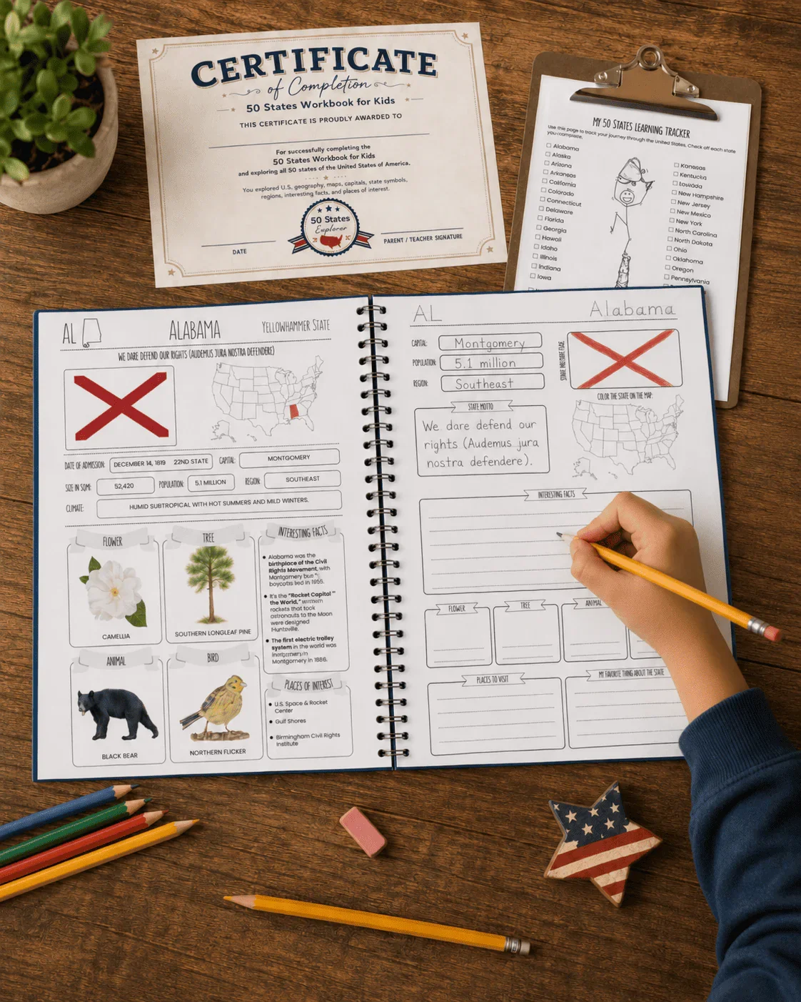 An open workbook for kids about Alabama with facts, illustrated map, and images of a flower, tree, animal, and bird. A hand is writing on the right page with colored pencils, surrounded by additional colored pencils, an eraser, a decorative star, and educational materials on a wooden table.