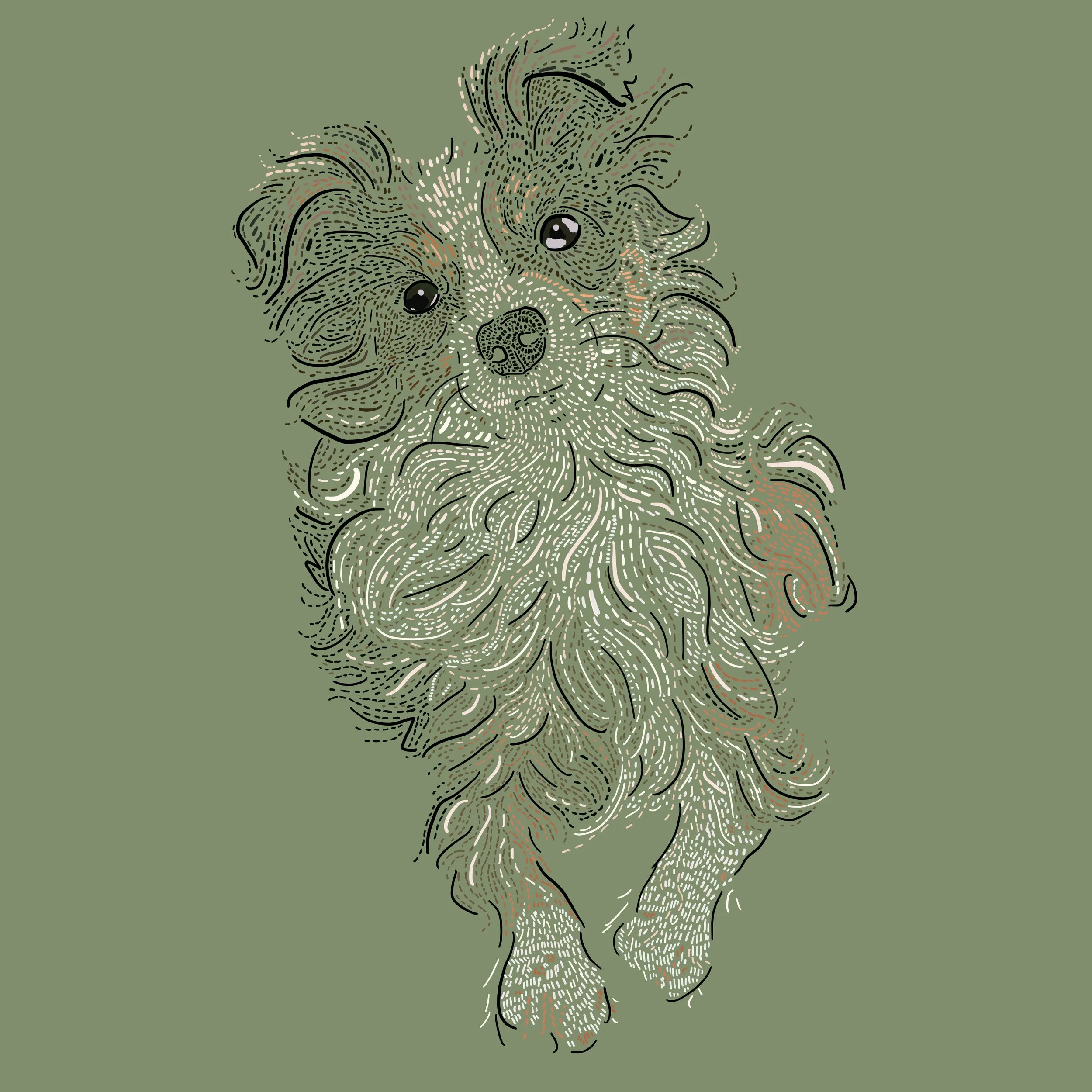 Poppy Portrait 1 [square crop].jpg