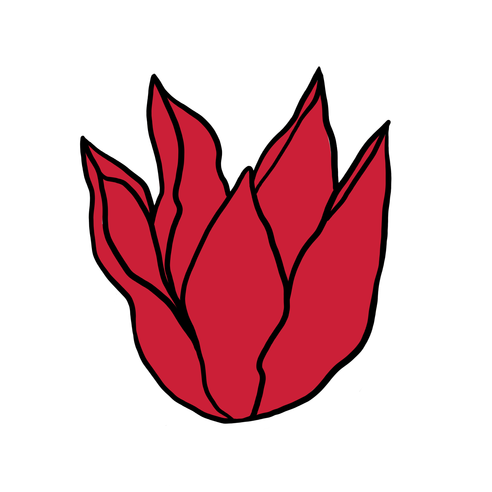 A stylized illustration of a red tulip plant with black outline details.