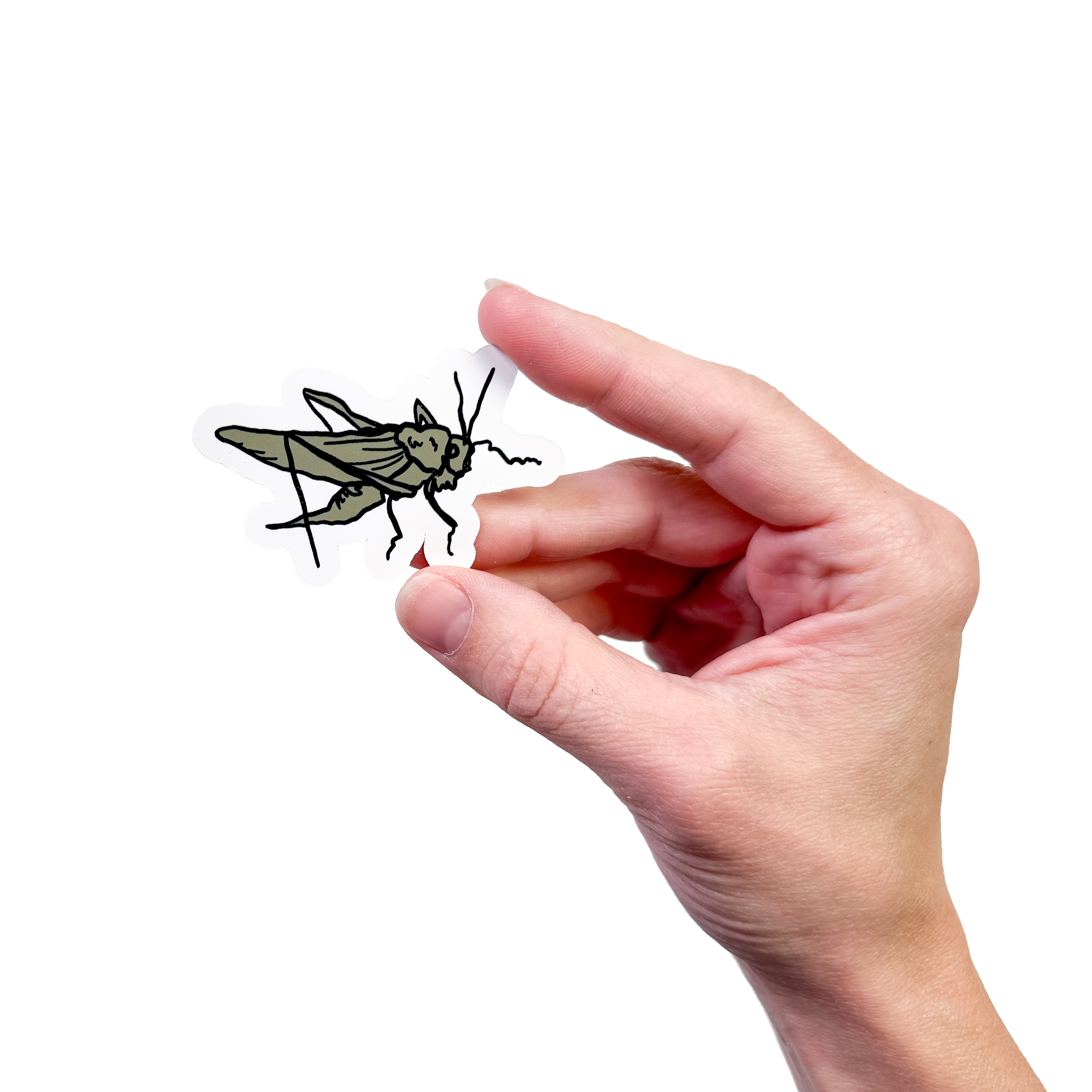 GRASSHOPPER sticker.png