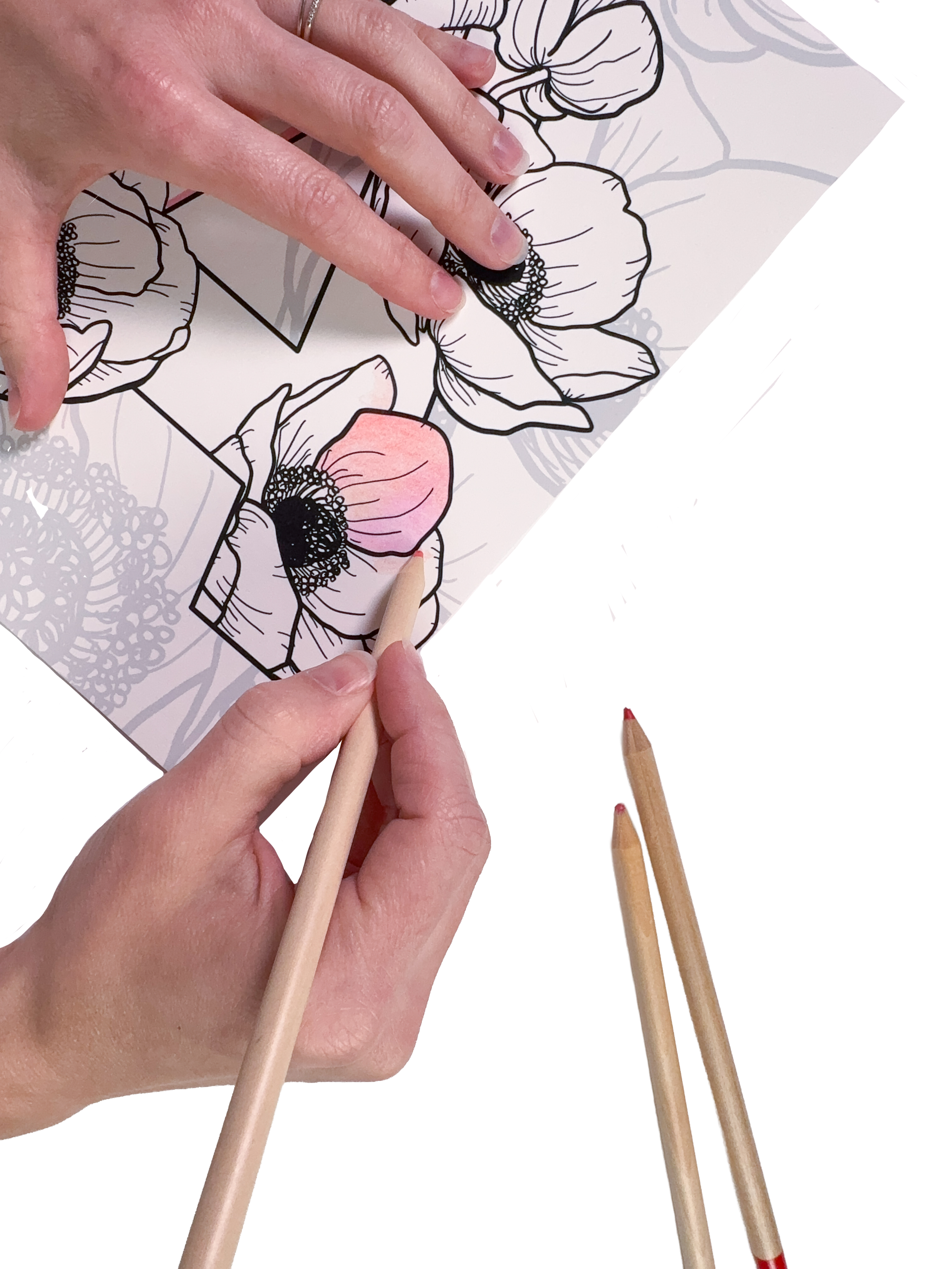 Blooming Alphabet LETTER A [print hands].png