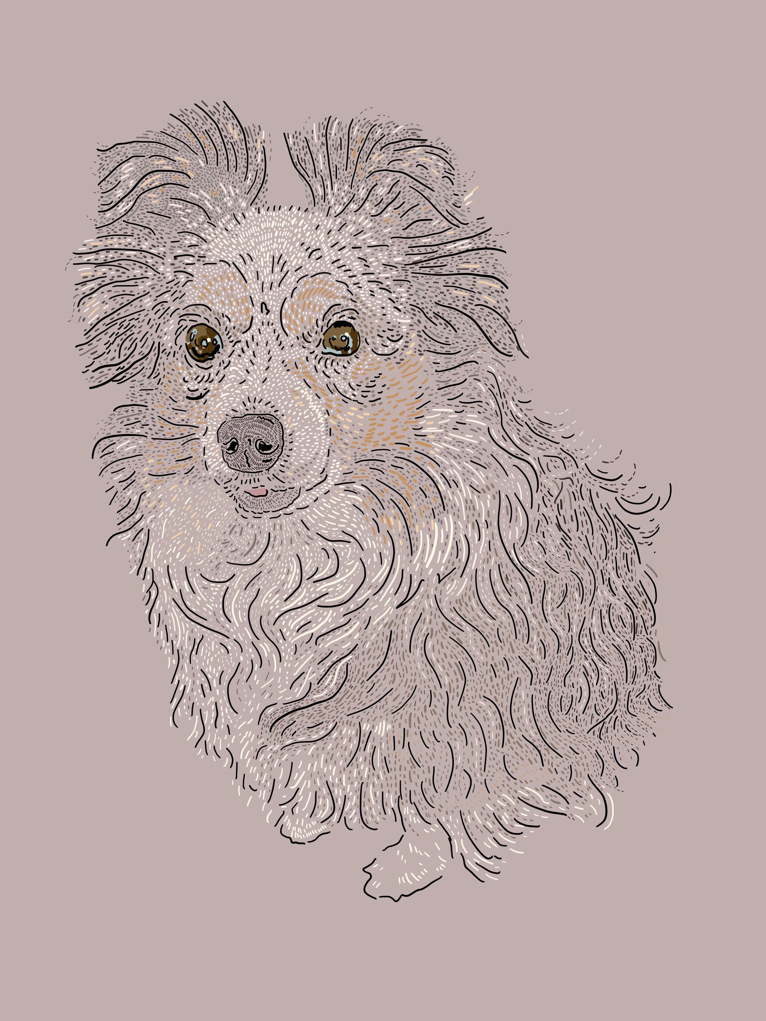 Poppy Portrait 2.jpg