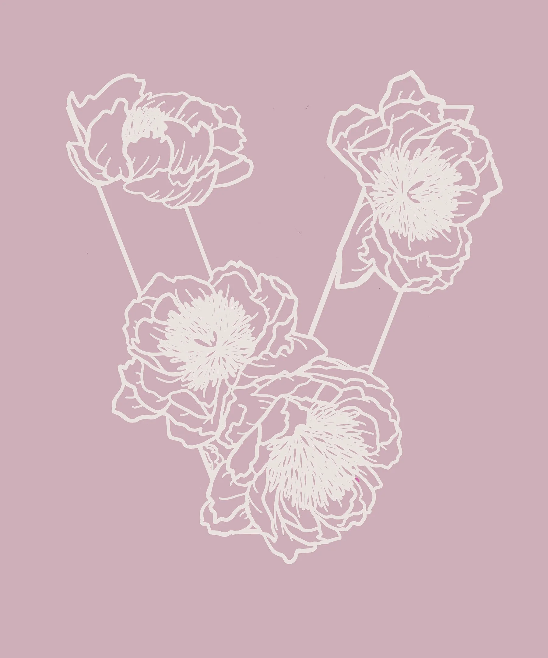 V Pink & Ivory.jpg
