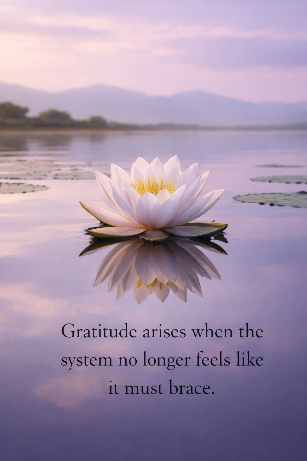 Daily Dawn Messages 🌅 